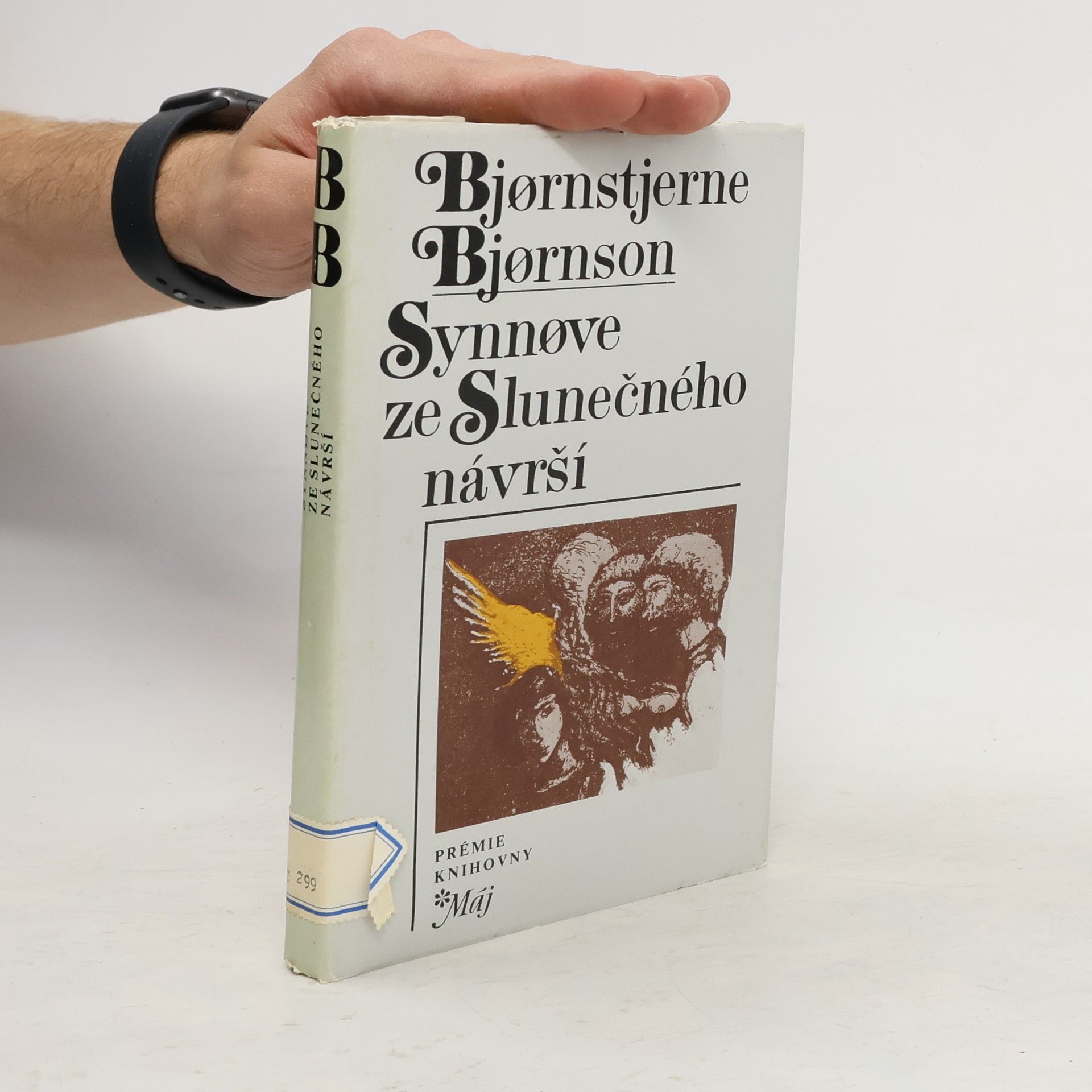 Bjørnstjerne Bjørnson Synnøve ze Slunečného návrší