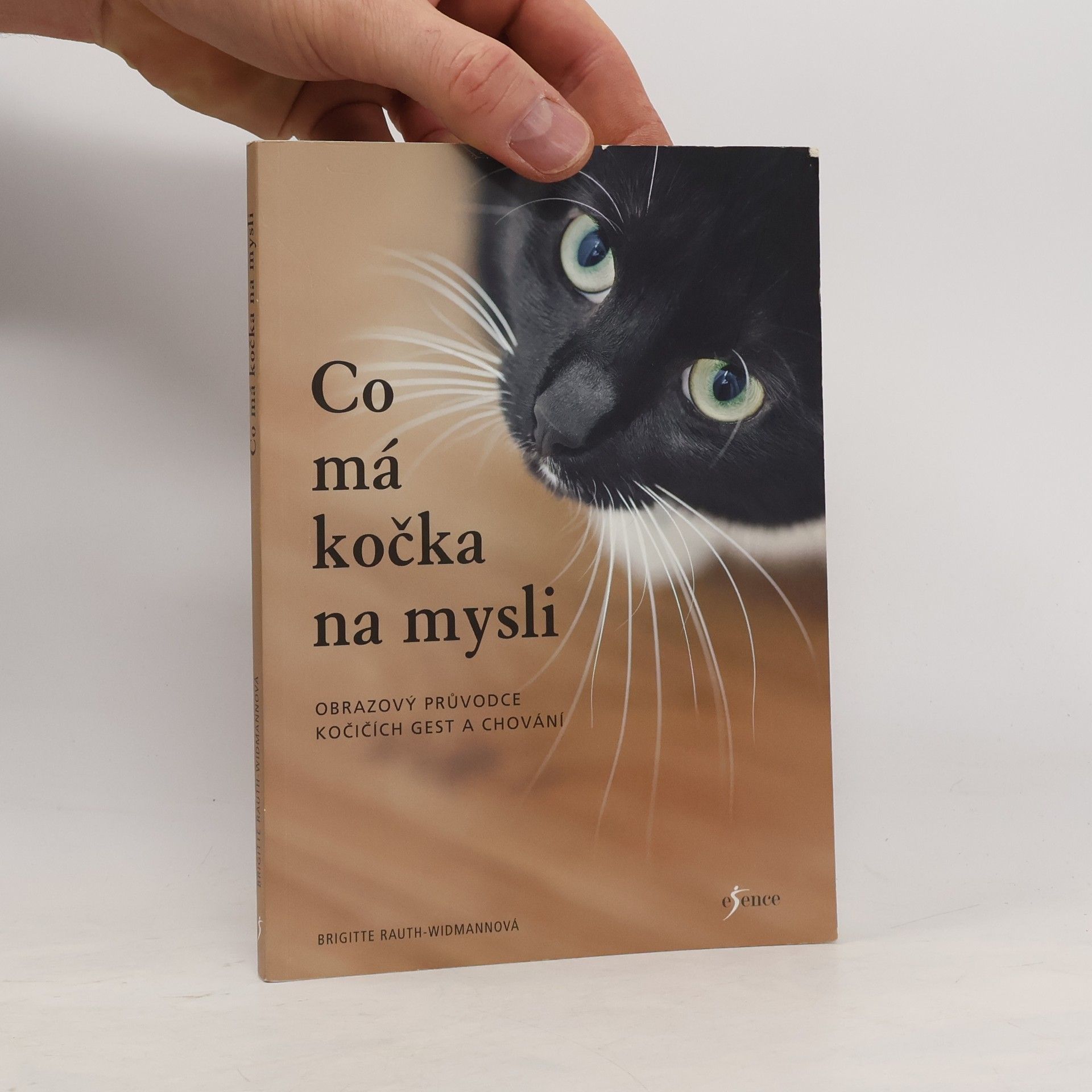 Co má kočka na mysli: Obrazový průvodce kočičích gest a chování