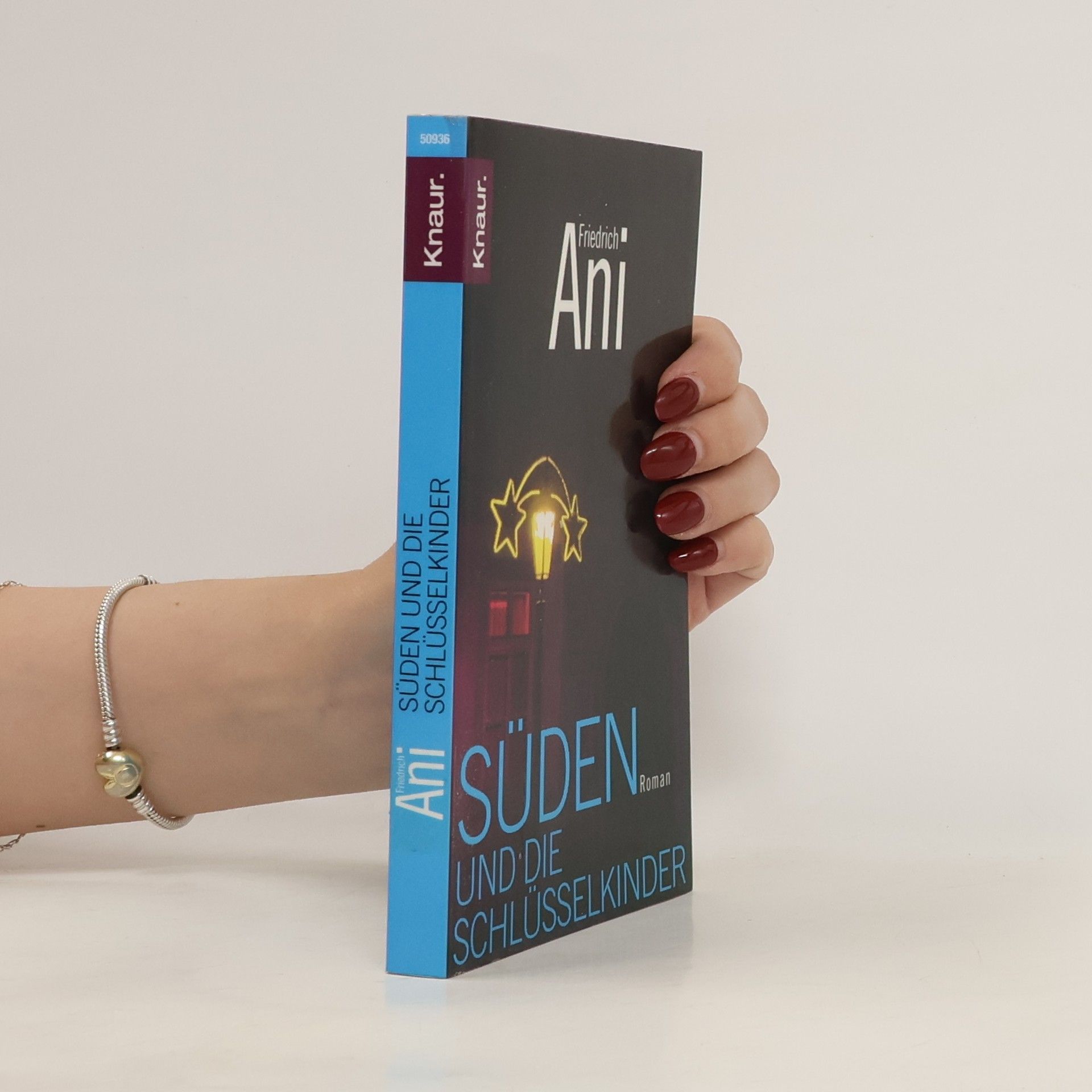 Friedrich Ani Süden und die Schlüsselkinder