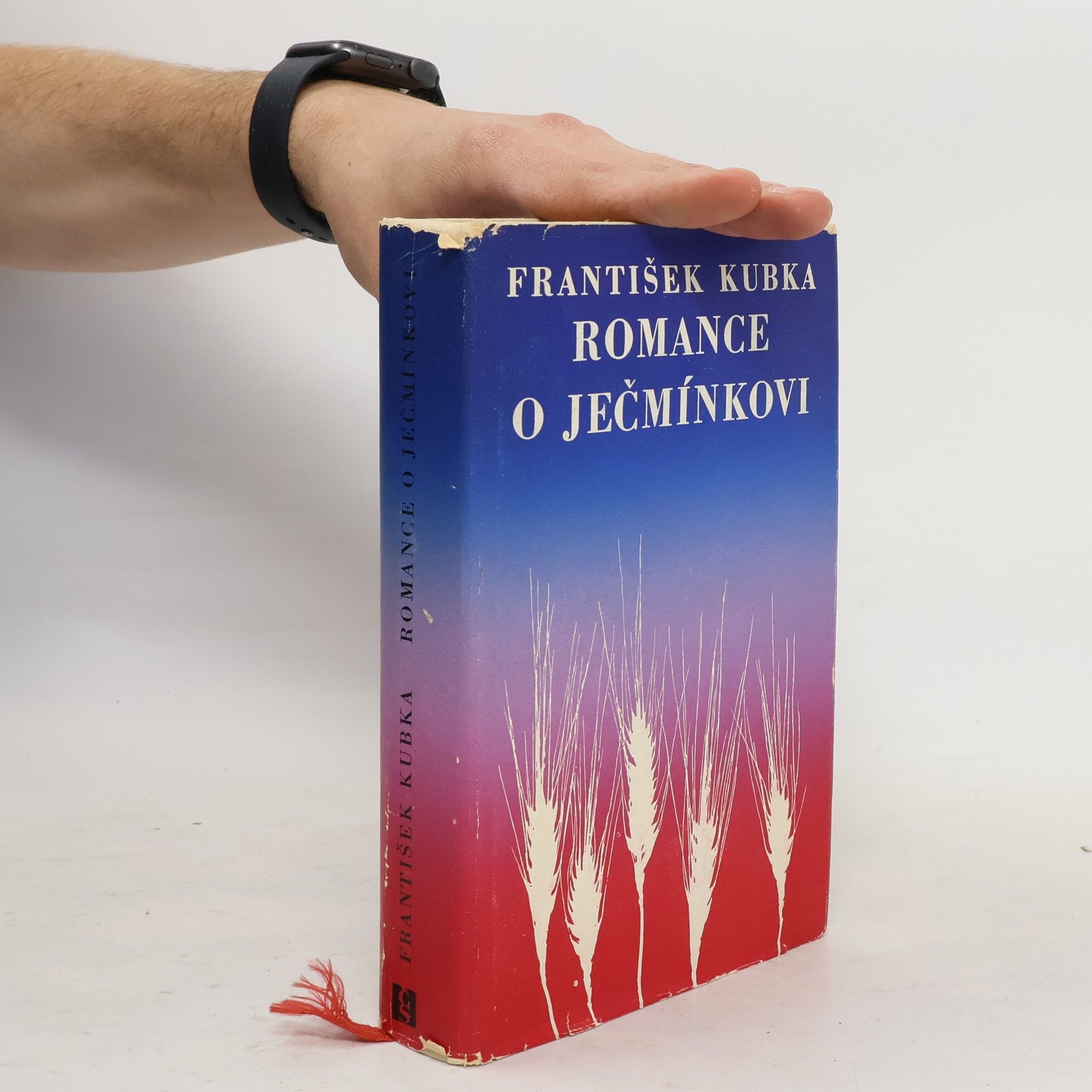 František Kubka Romance o Ječmínkovi