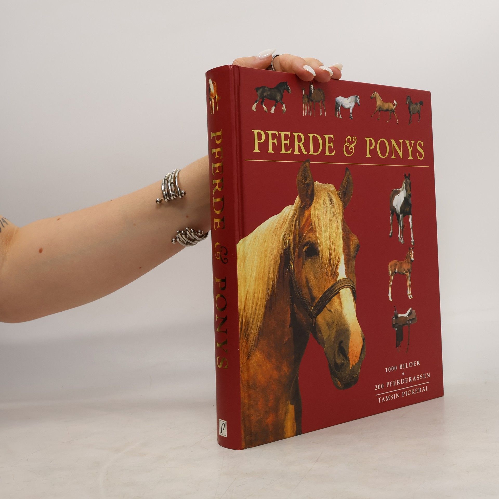 Tam Pickeral Pferde & Ponys