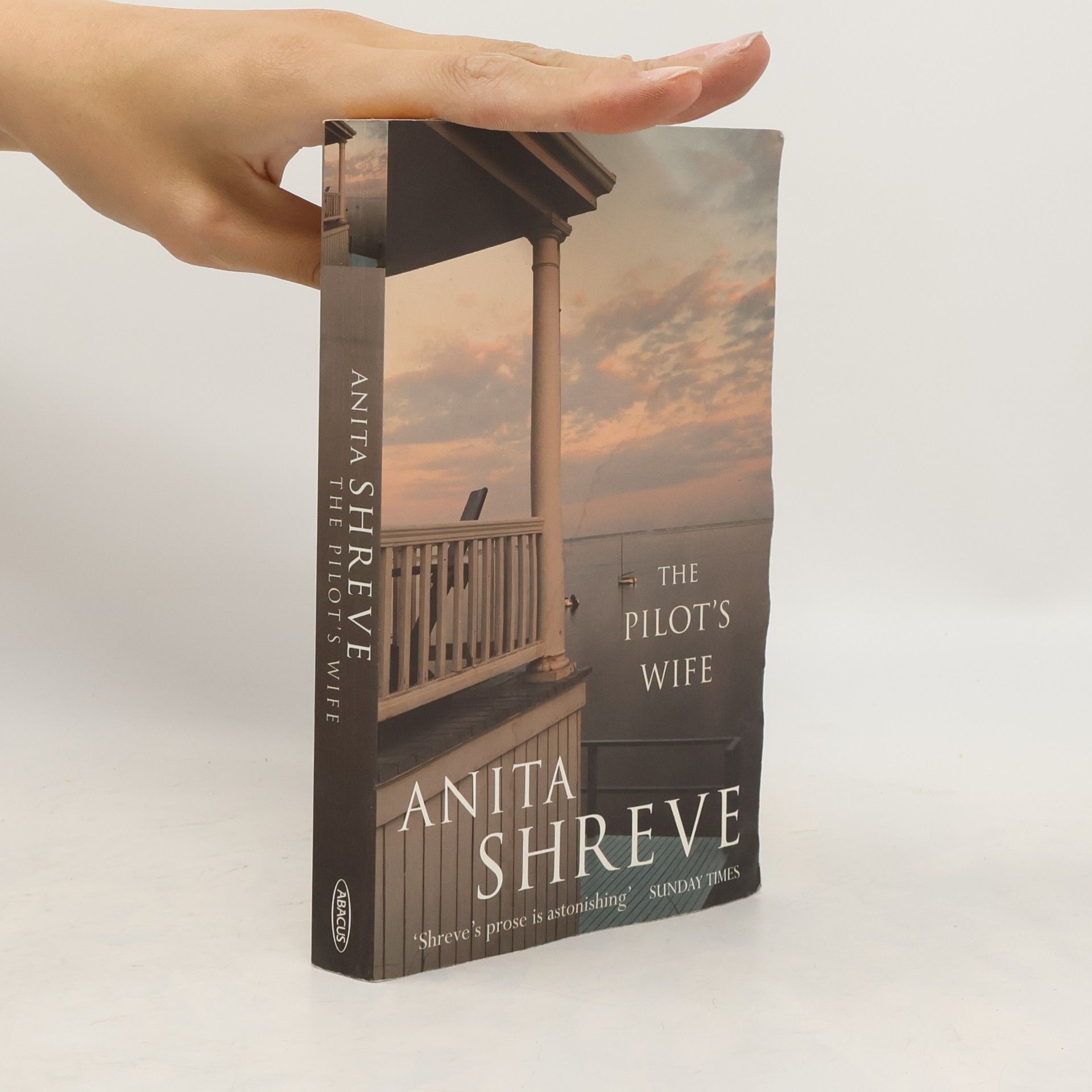 Anita Shreve The pilot’s wife