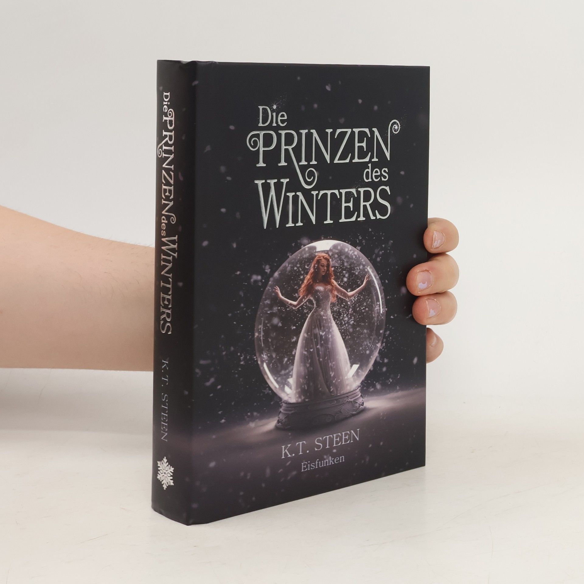 K.T. Steen Die Prinzen des Winters
