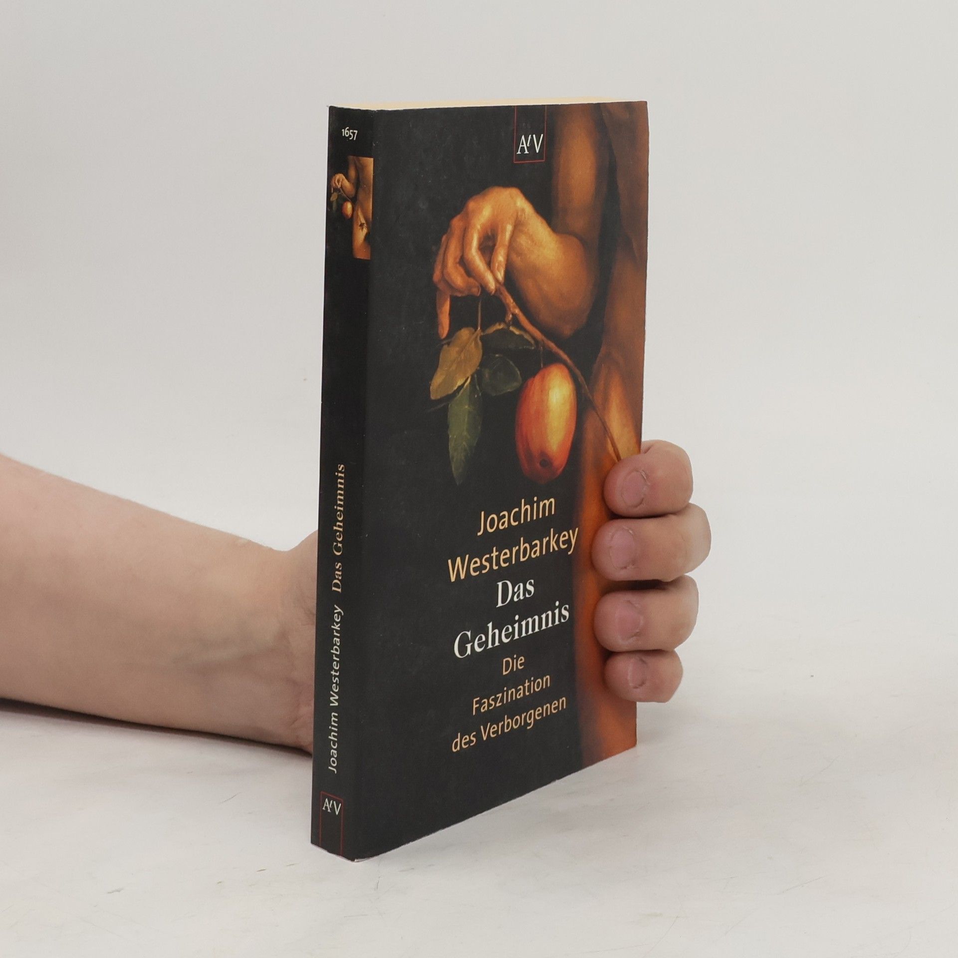 Joachim Westerbarkey Das Geheimnis