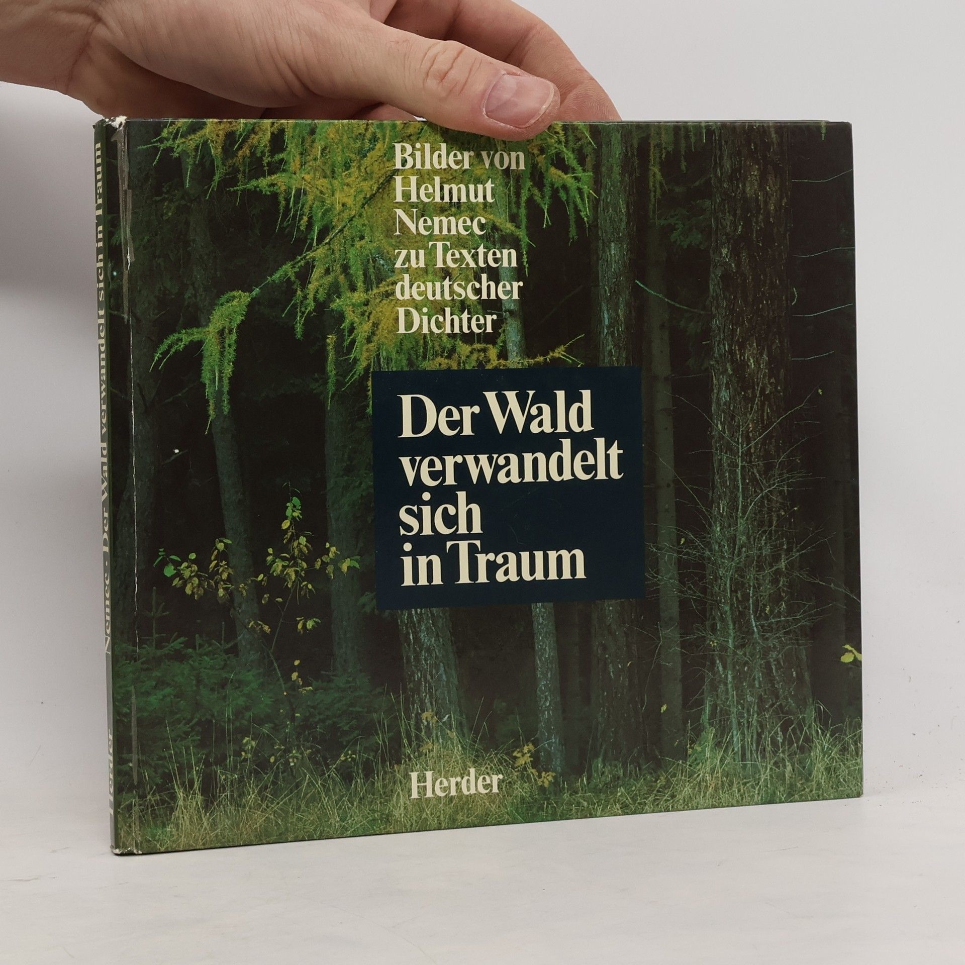 Helmut Nemec Der Wald verwandelt sich in Traum