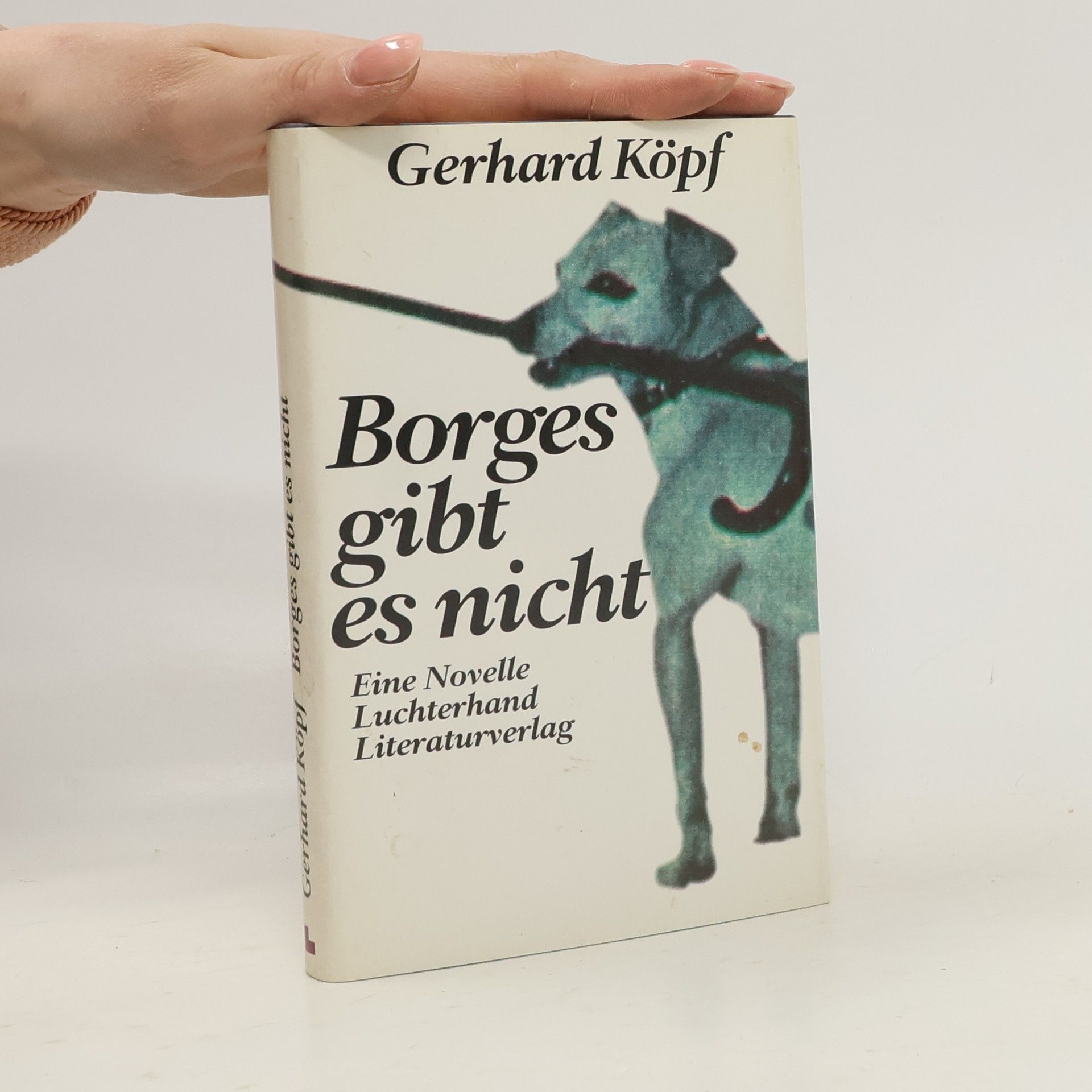 Gerhard Köpf Borges gibt es nicht