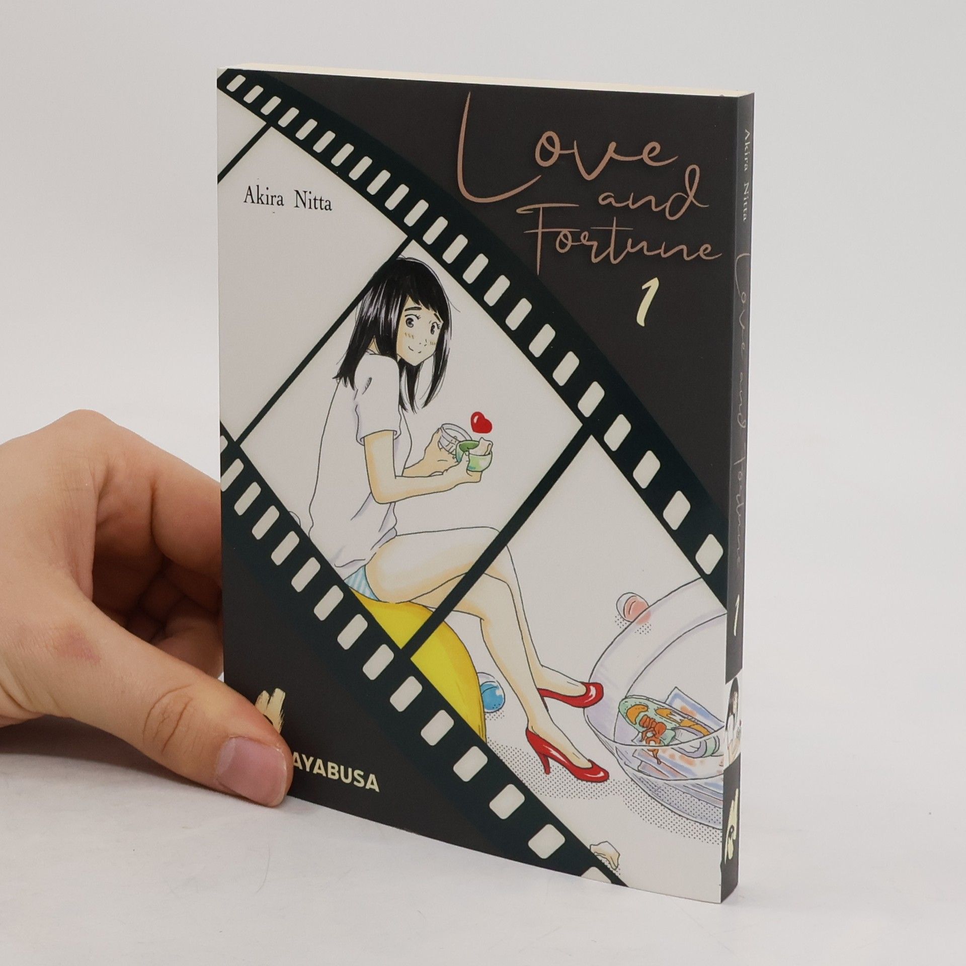 Akira Nitta Love and Fortune 1