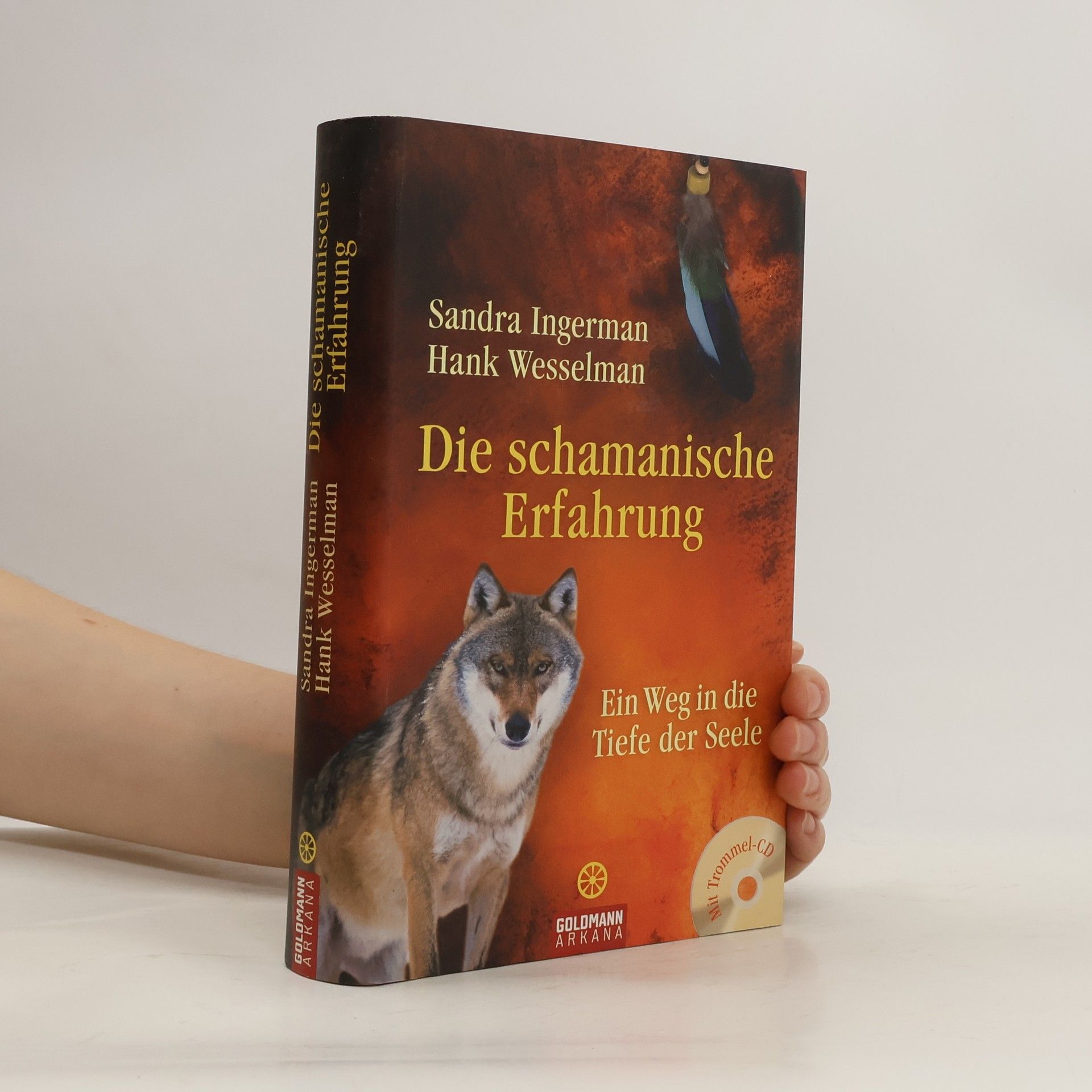 Andrea Panster Die schamanische Erfahrung