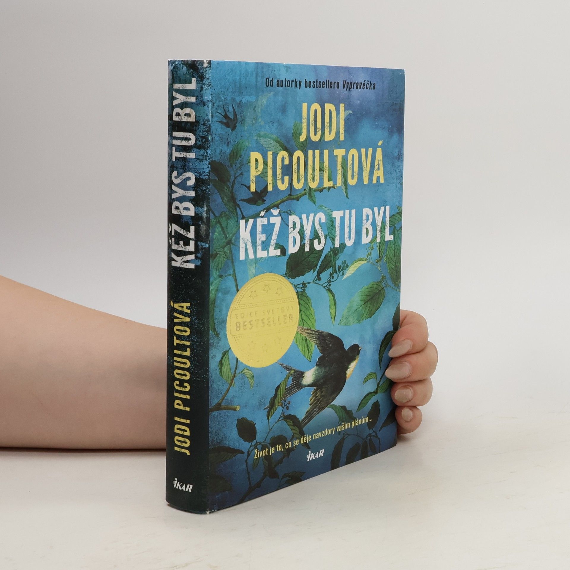 Marcela Nejedlá Kéž bys tu byl