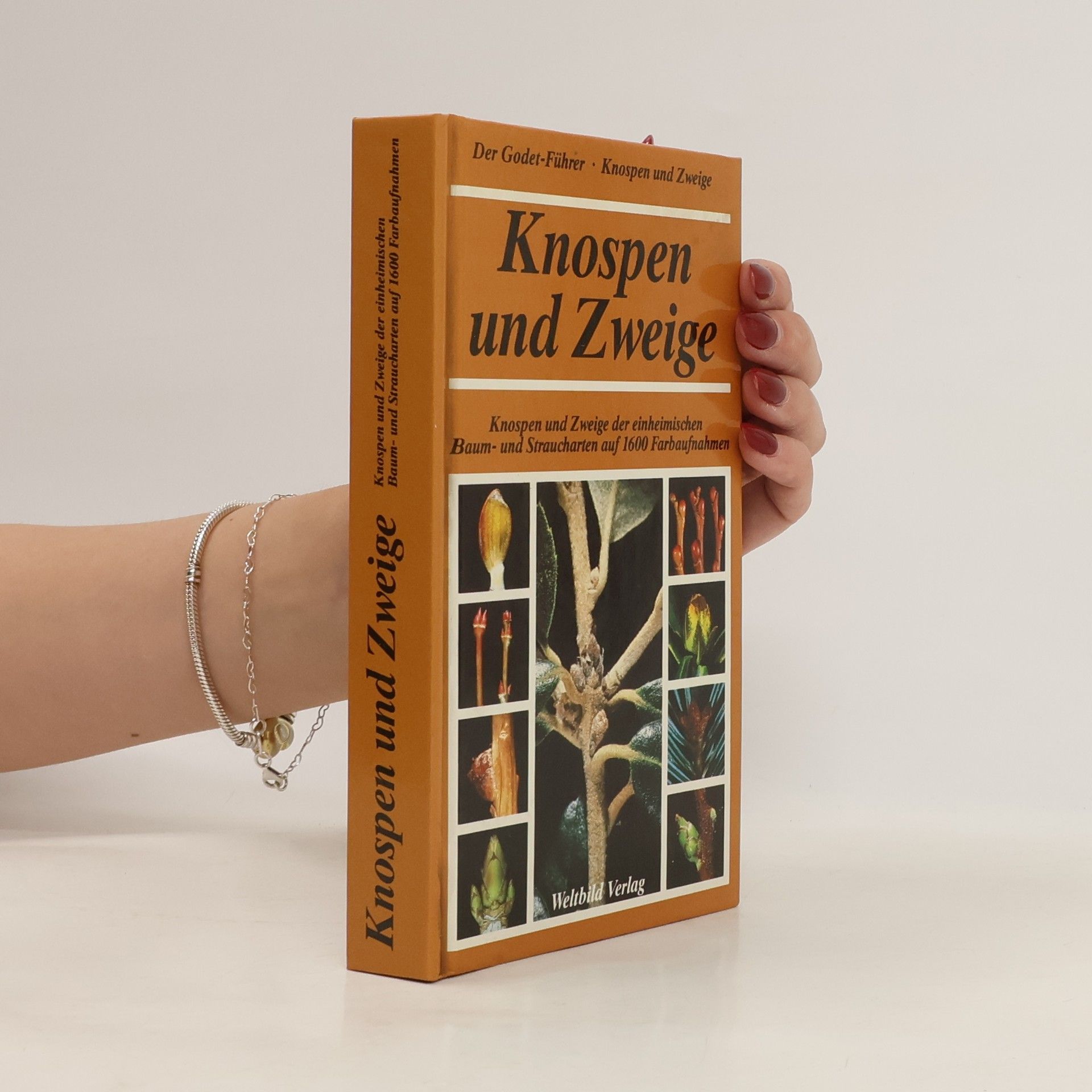 Jean Denis Godet Knospen & Zweige der einheimischen Baum- und Straucharten sicher und schnell bestimmen
