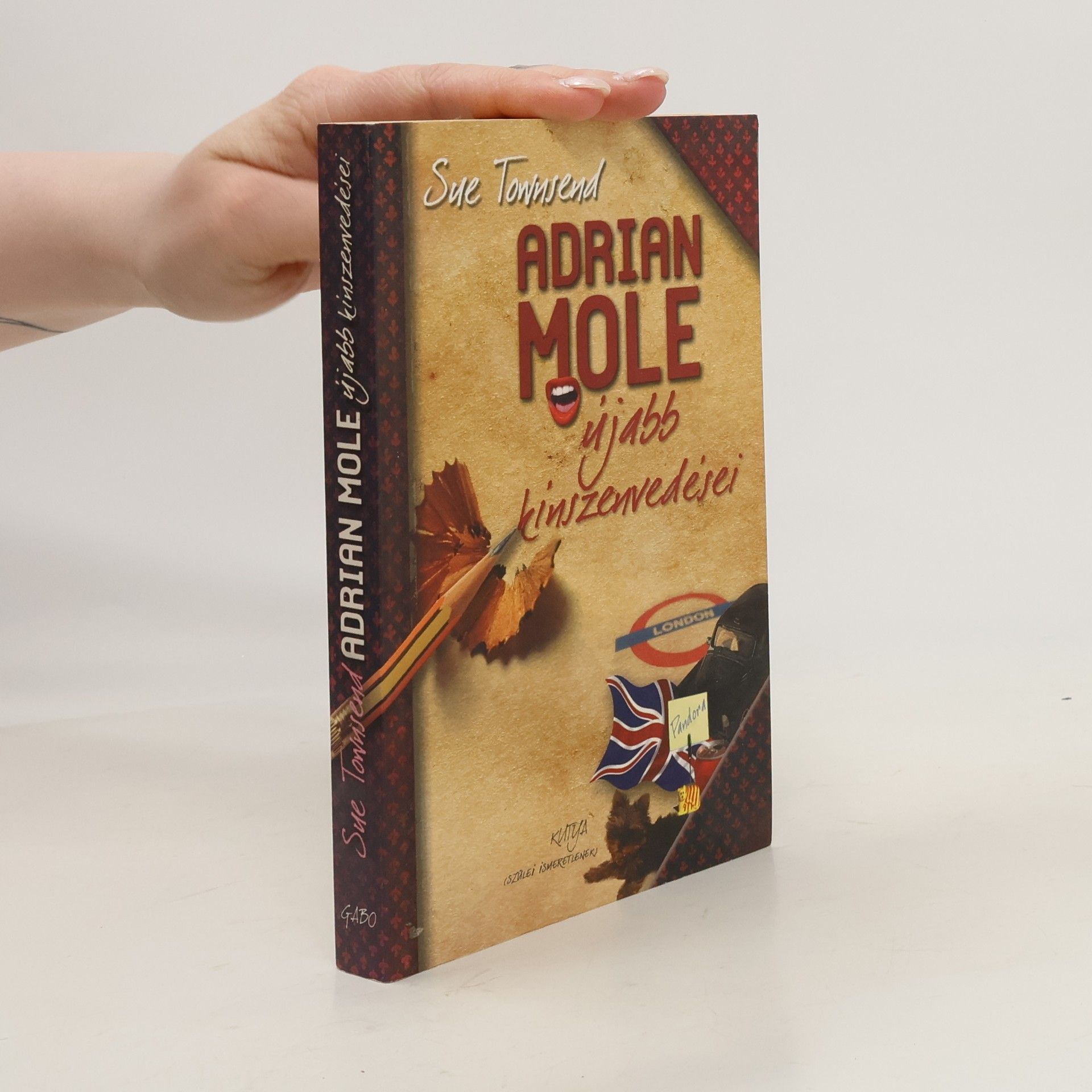 Sue Townsendová Adrian Mole újabb kínszenvedései