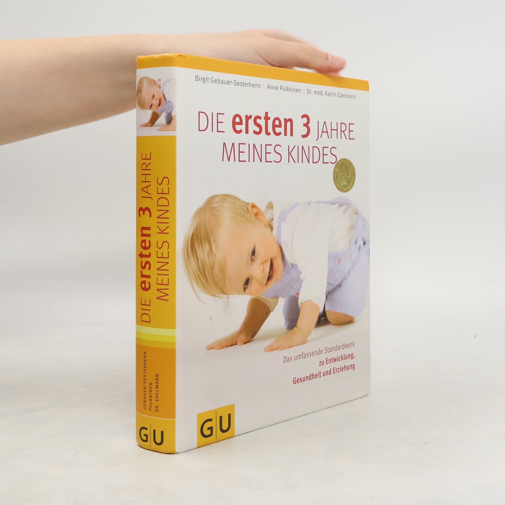 Birgit Gebauer-Sesterhenn Die ersten 3 Jahre meines Kindes