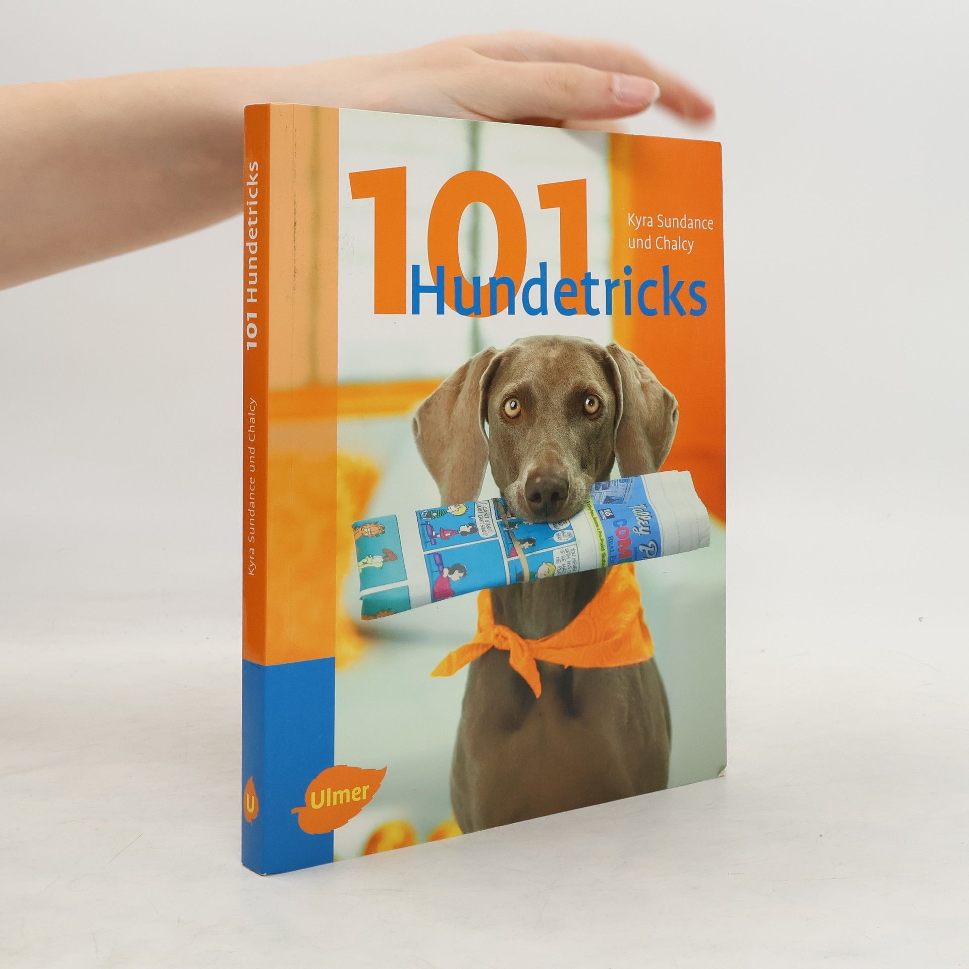 Kyra Sundance 101 Hundetricks