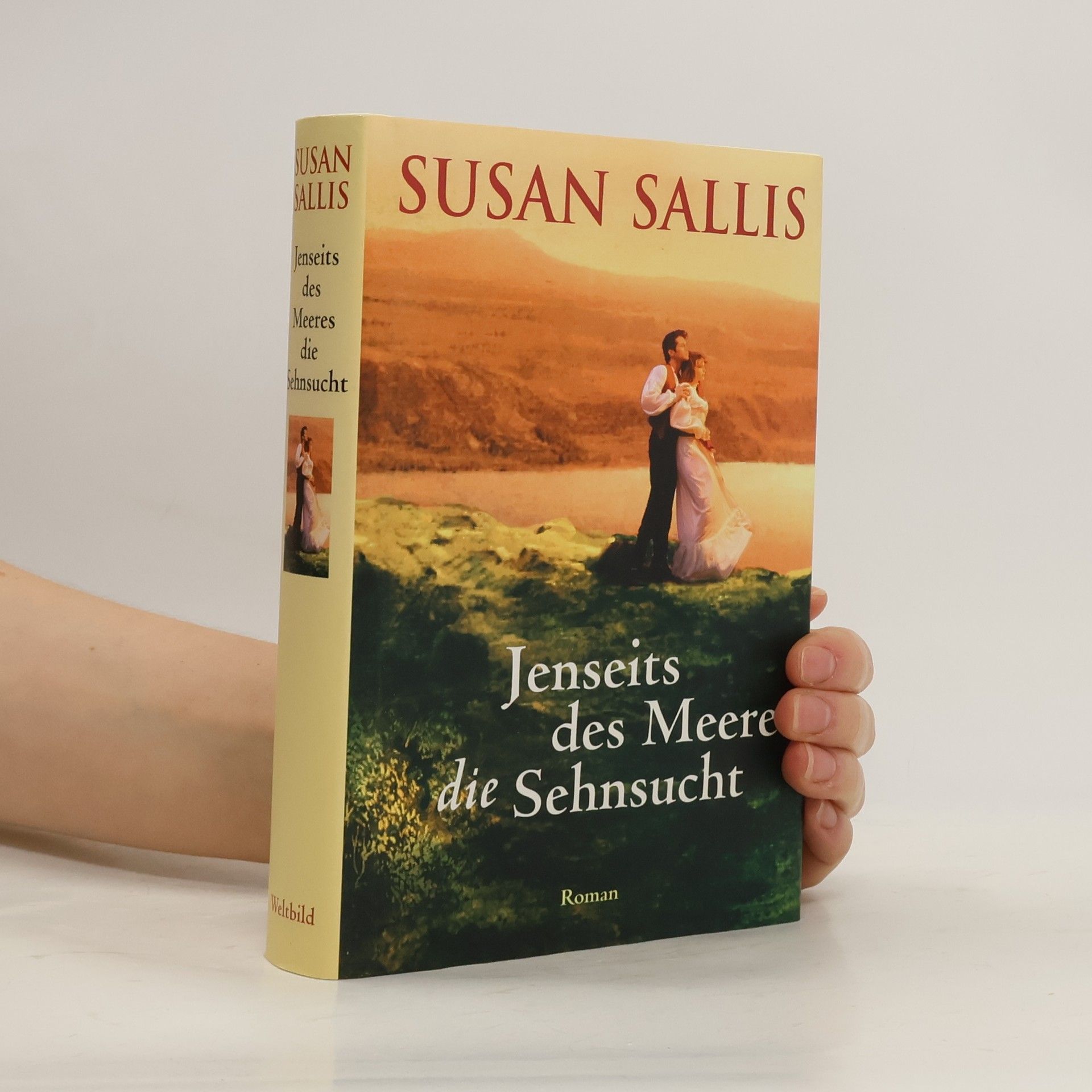 Susan Sallis Jenseits des Meeres die Sehnsucht