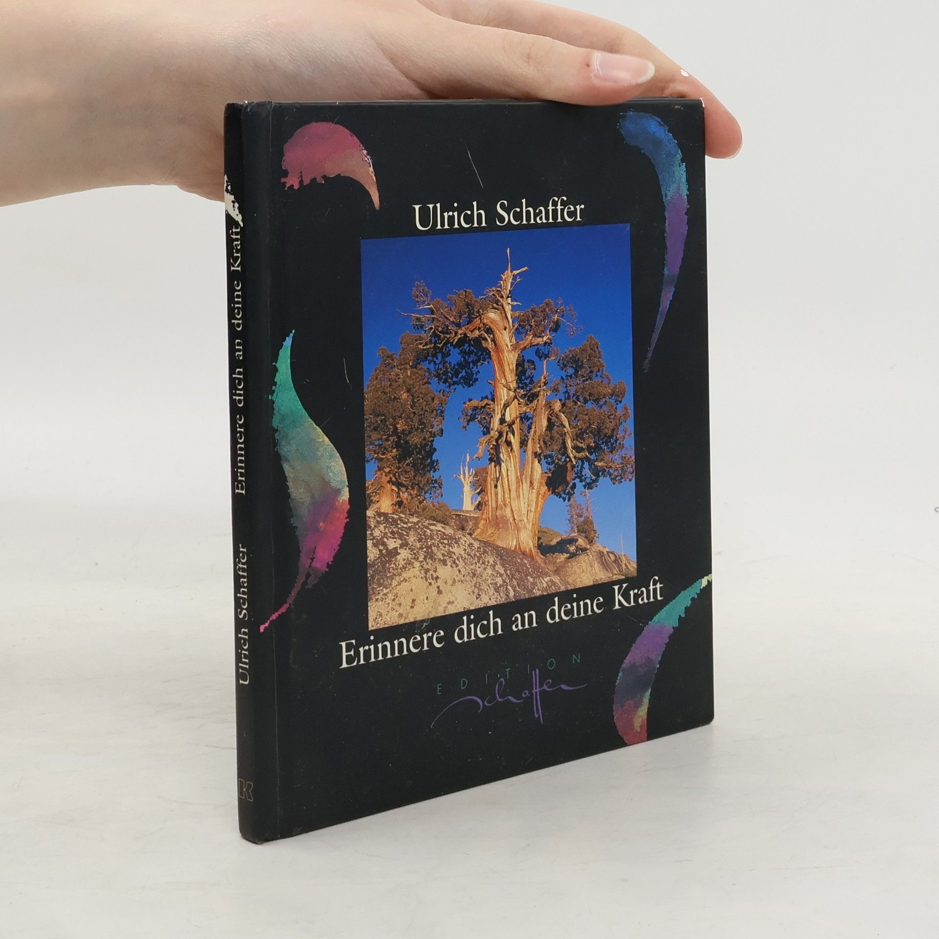 Ulrich Schaffer Erinnere dich an deine Kraft