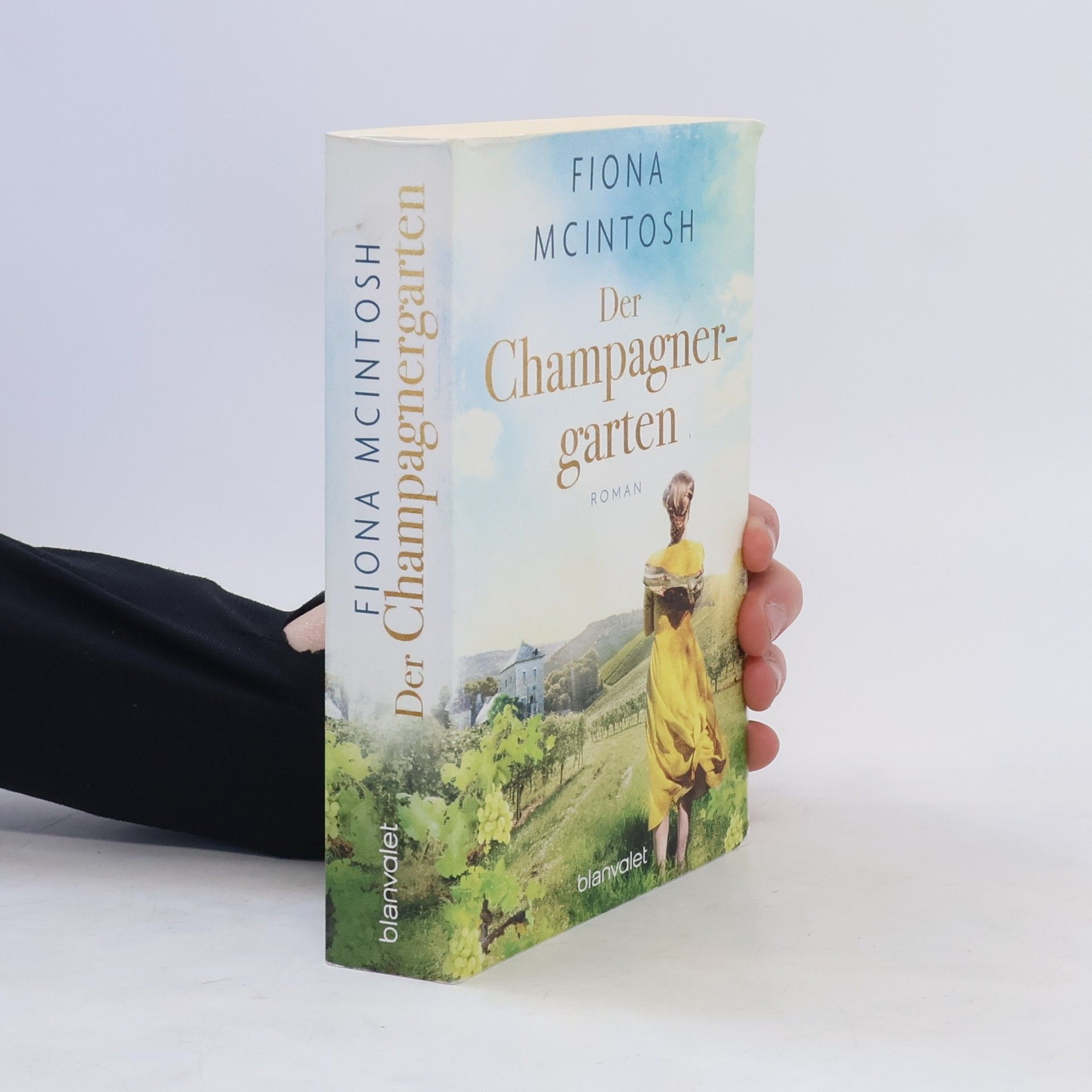 Fiona McIntosh Der Champagnergarten