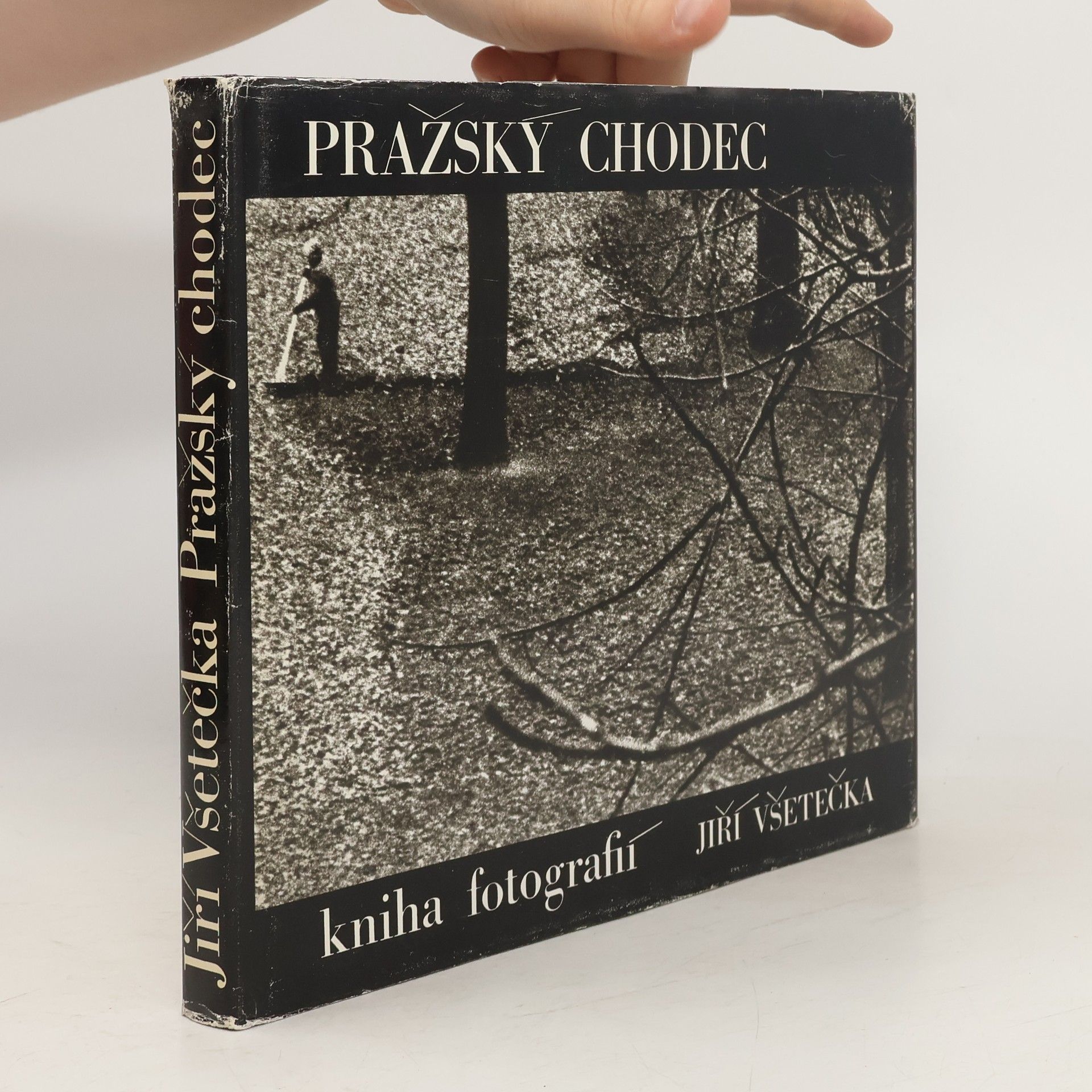 Jiří Všetečka Pražský chodec