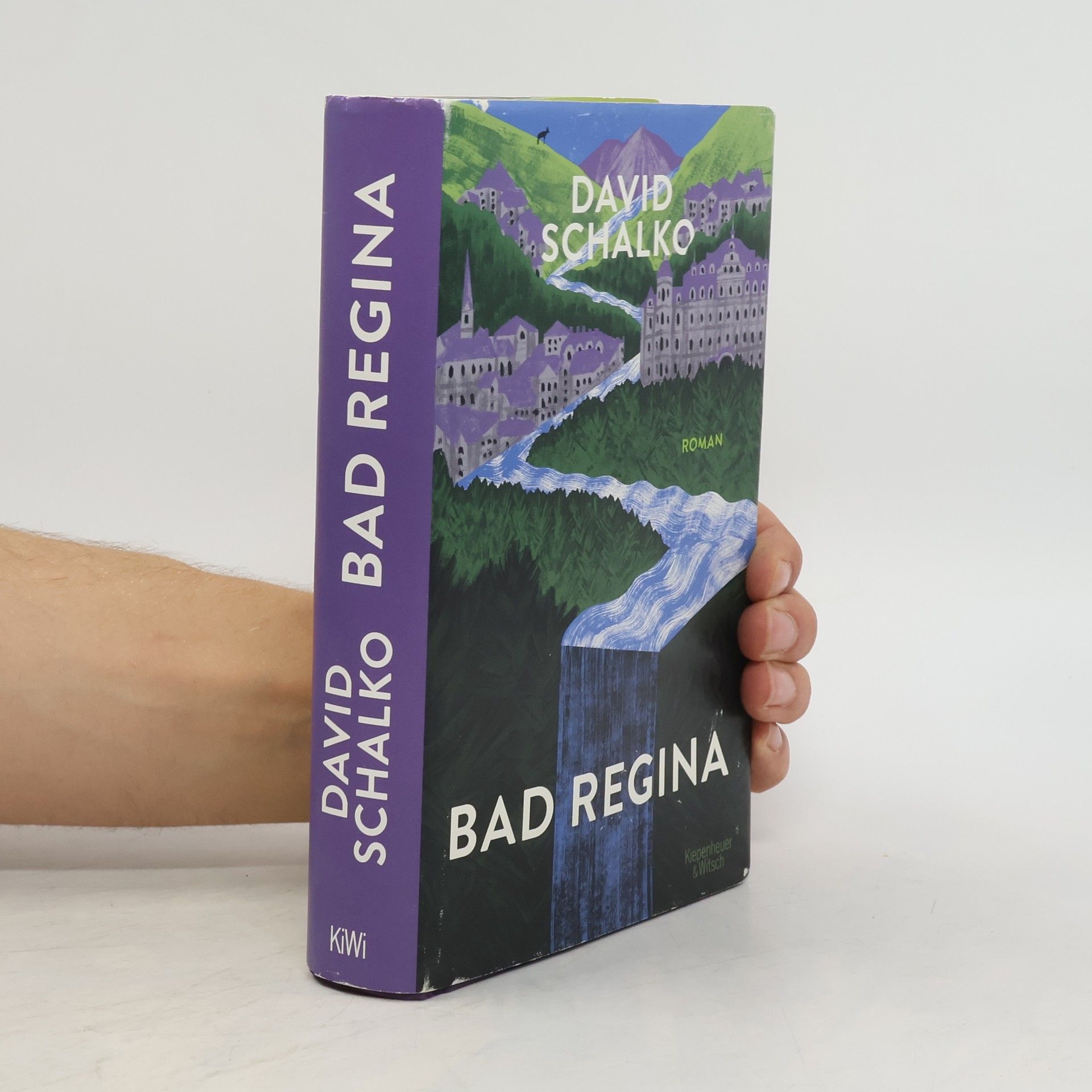 David Schalko Bad Regina