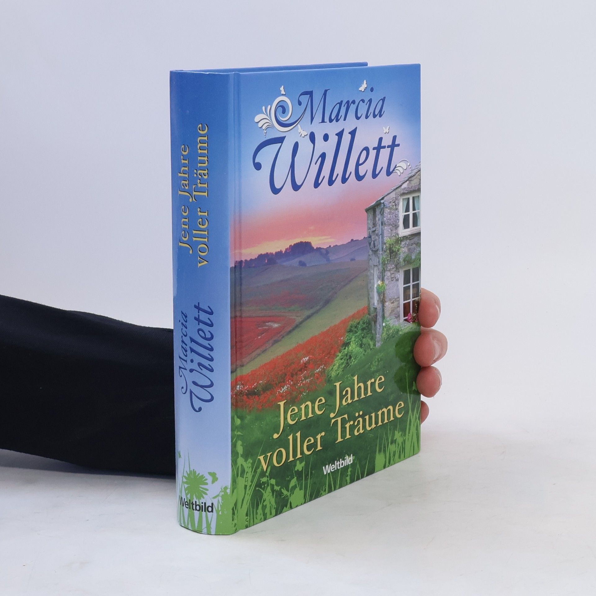 Marcia Willett Jene Jahre voller Träume