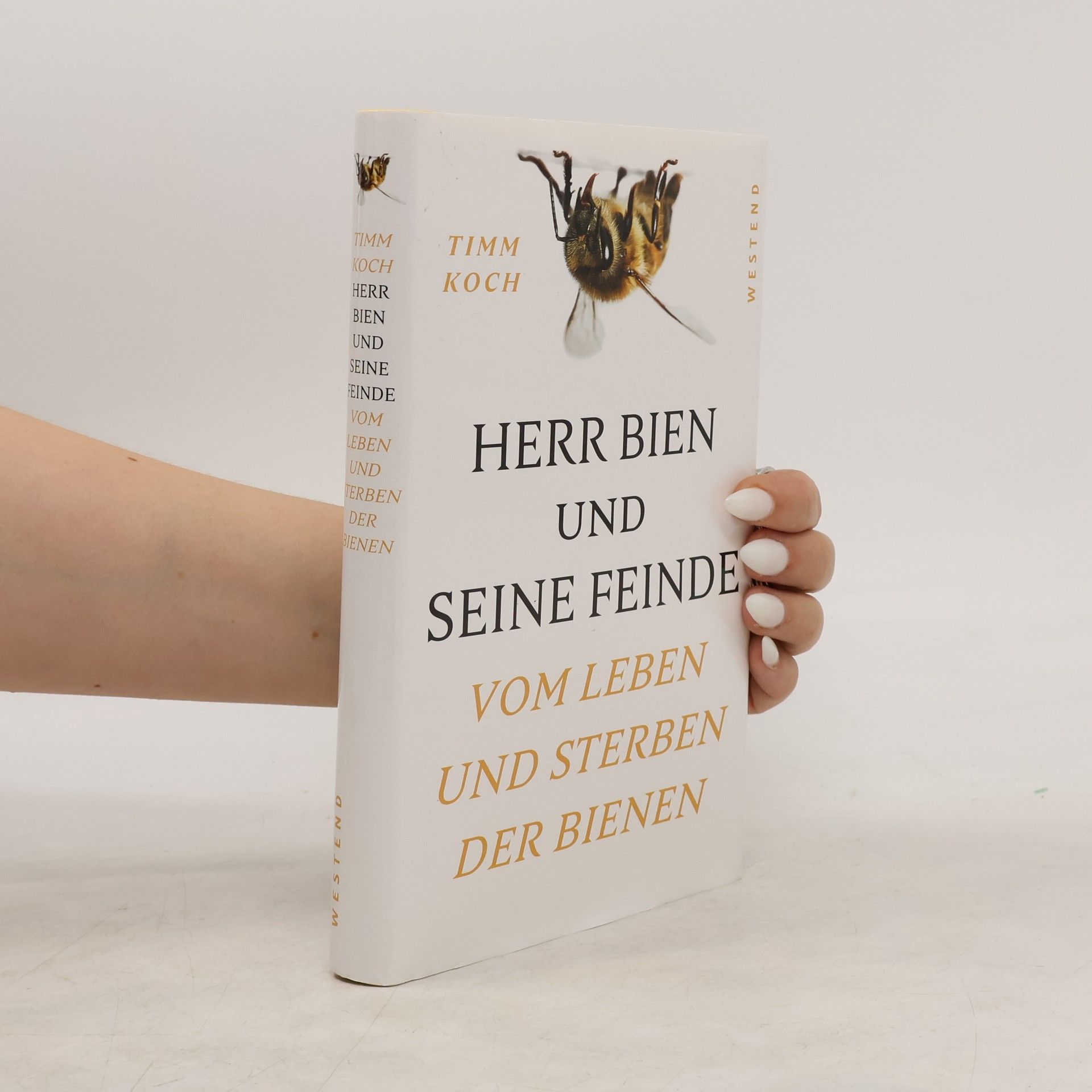Koch Herr Bien und seine Feinde
