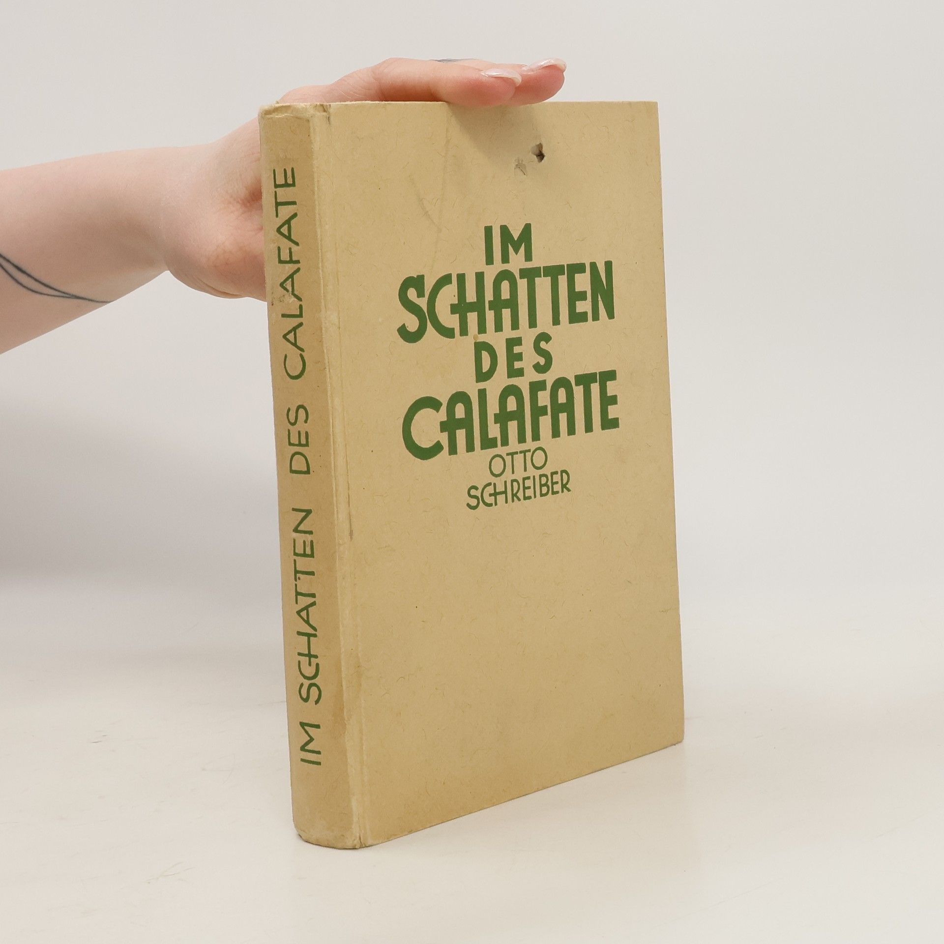 Otto Schreiber Im Schatten des Calafate : patagonisches, allzupatagonisches