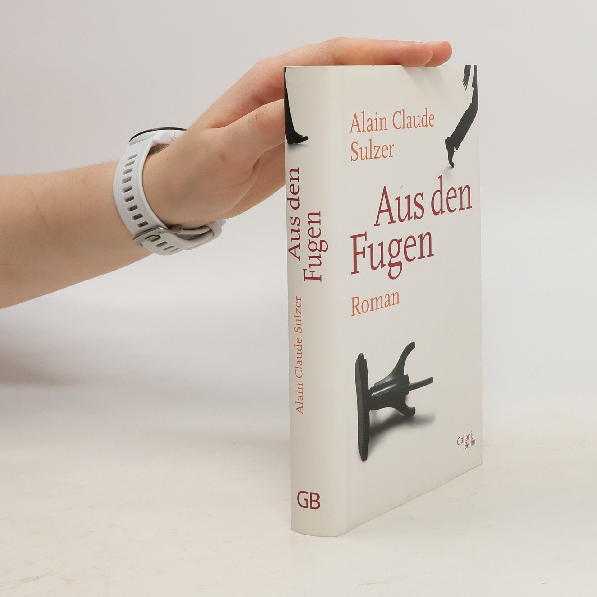 Alain Claude Sulzer Aus den Fugen