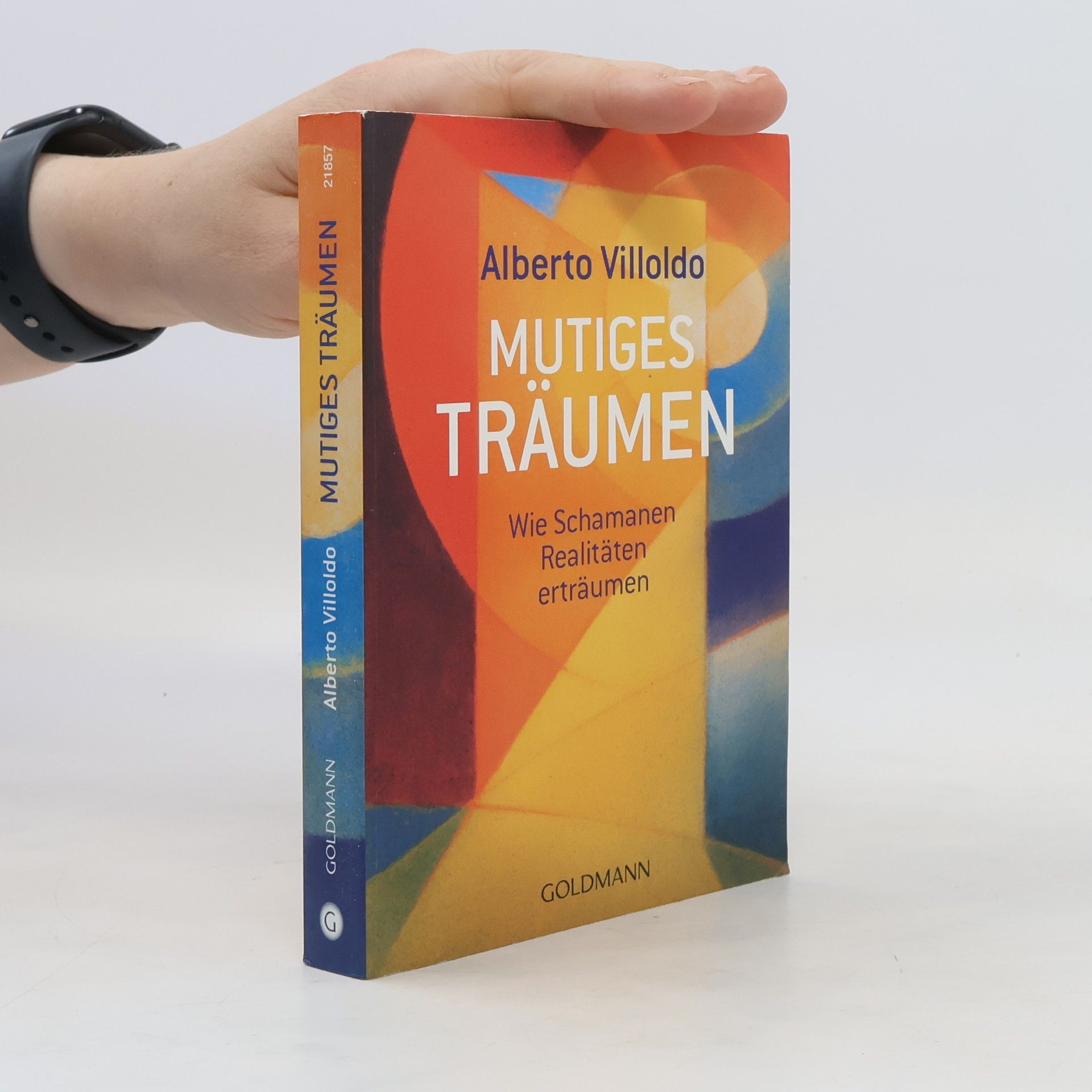 Alberto Villoldo Mutiges Träumen. Wie Schamanen Realitäten erträumen