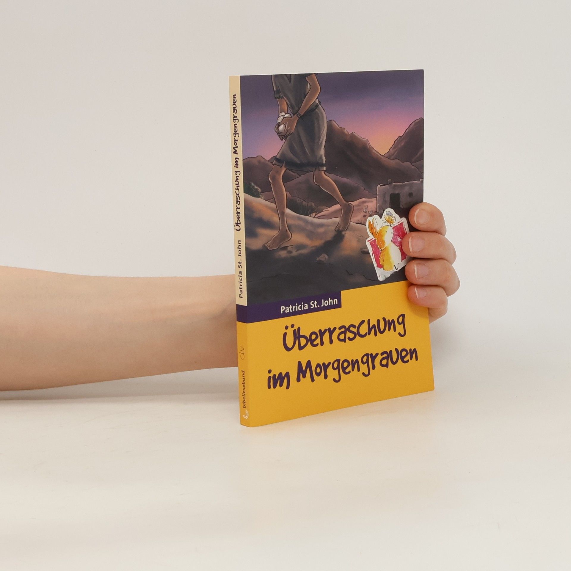 Patricia St. John Überraschung im Morgengrauen