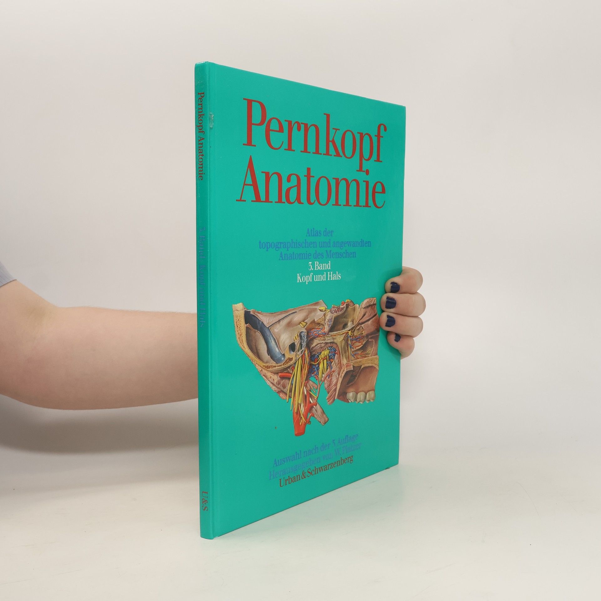 Autorenkollektiv Pernkopf Anatomie 3