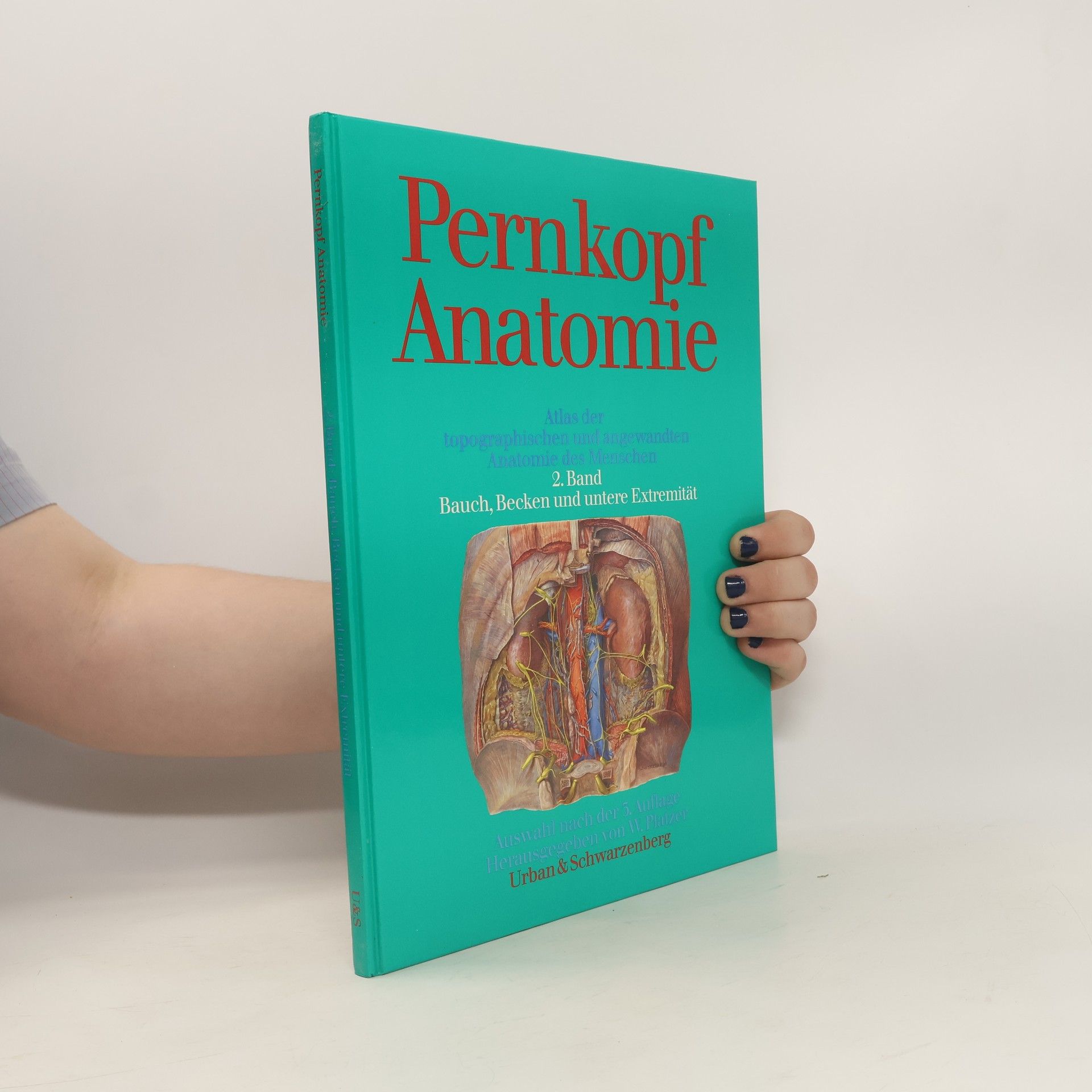 Autorenkollektiv Pernkopf Anatomie 2. Band