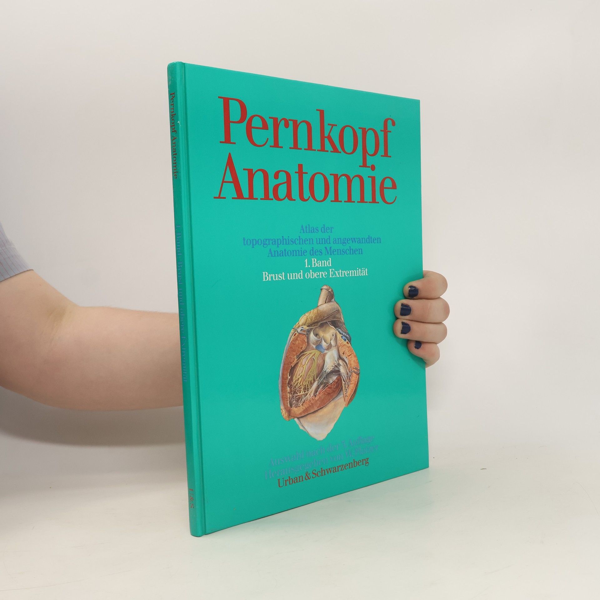 Werner Platzer Platzer Pernkopf Anatomie Bd. 1