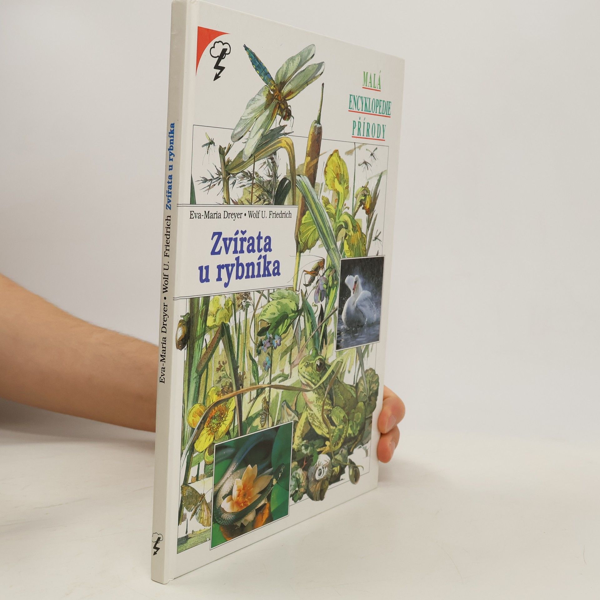 Eva-Maria Dreyer Zvířata u rybníka