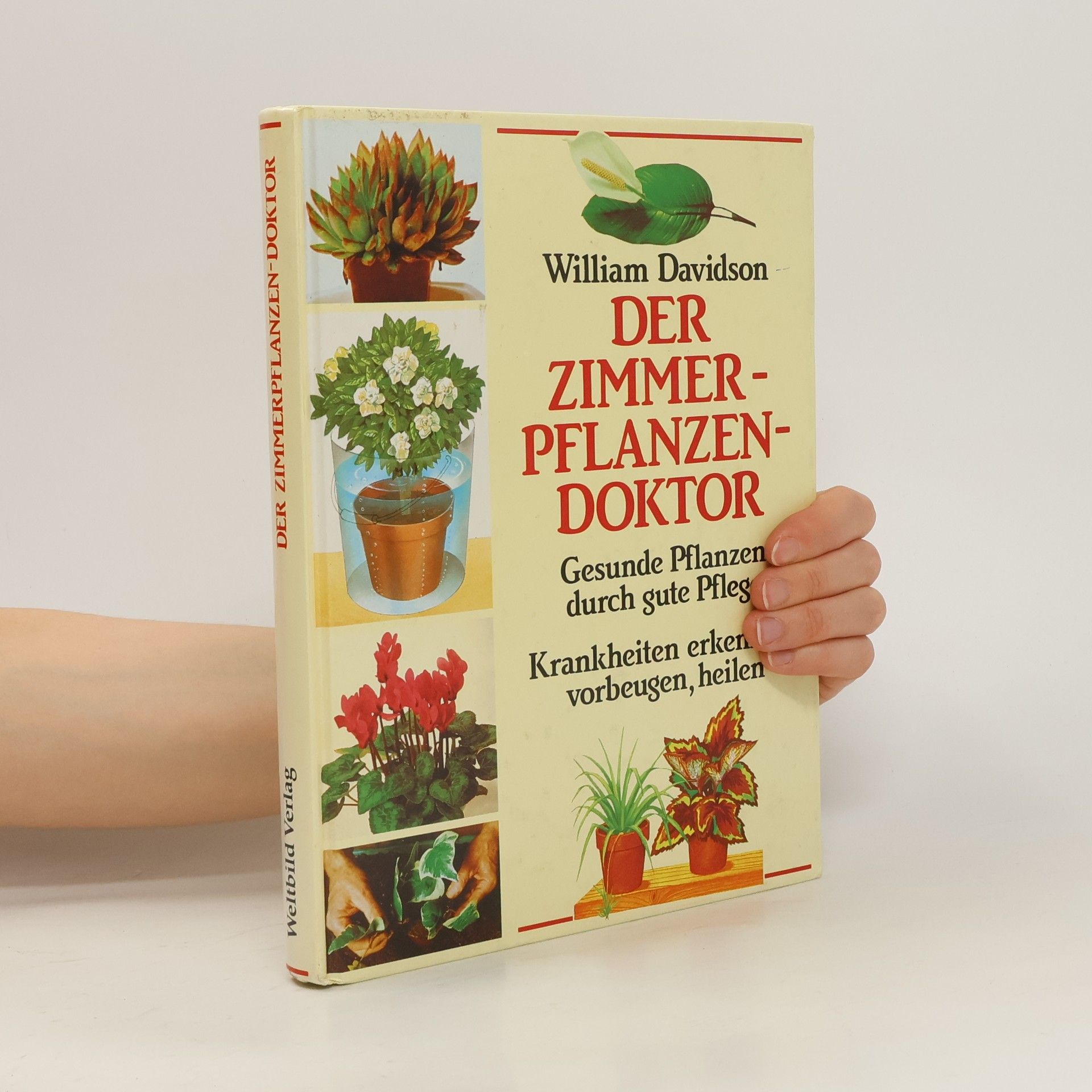 William Davidson Der Zimmerpflanzendoktor