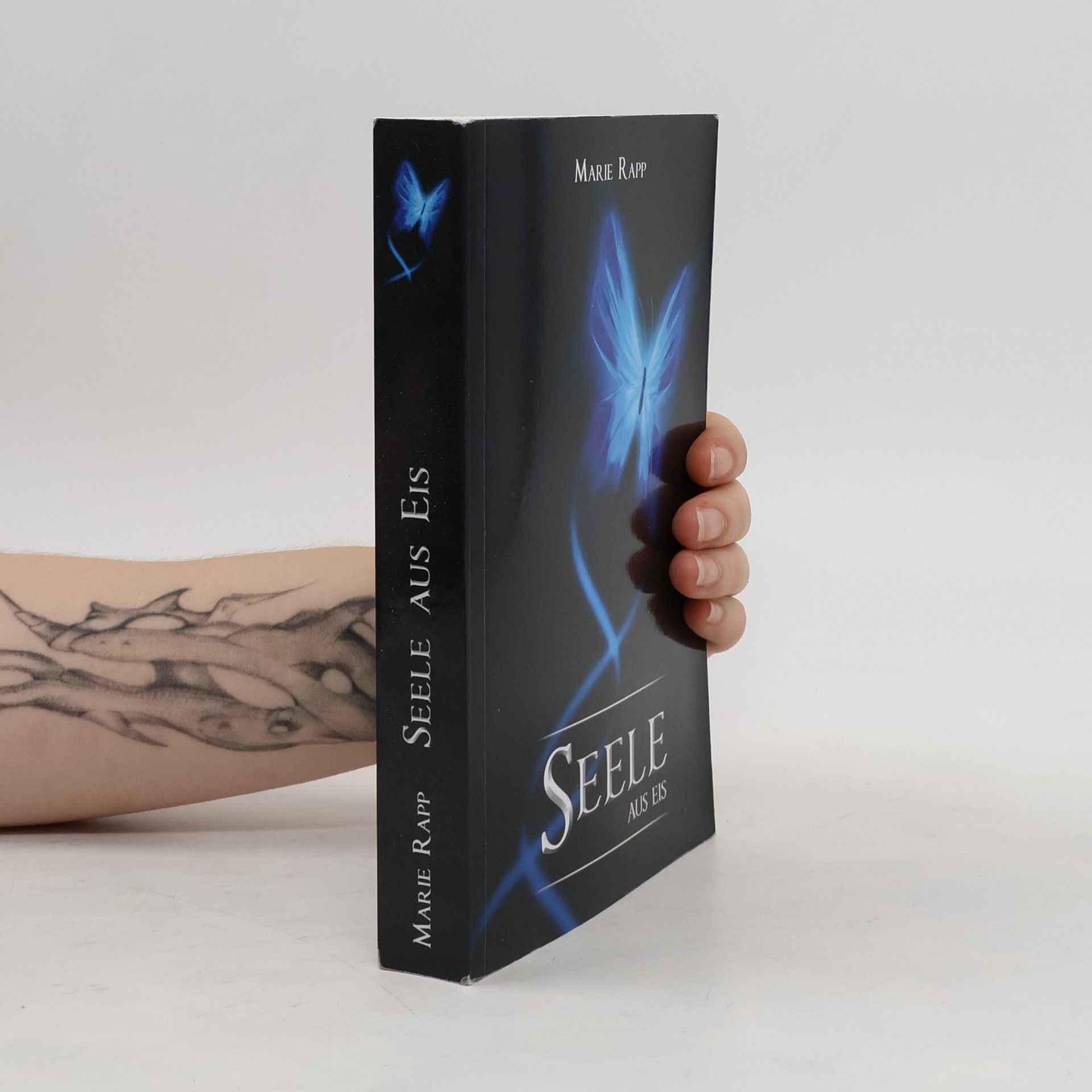 Marie Rapp Seele Aus Eis