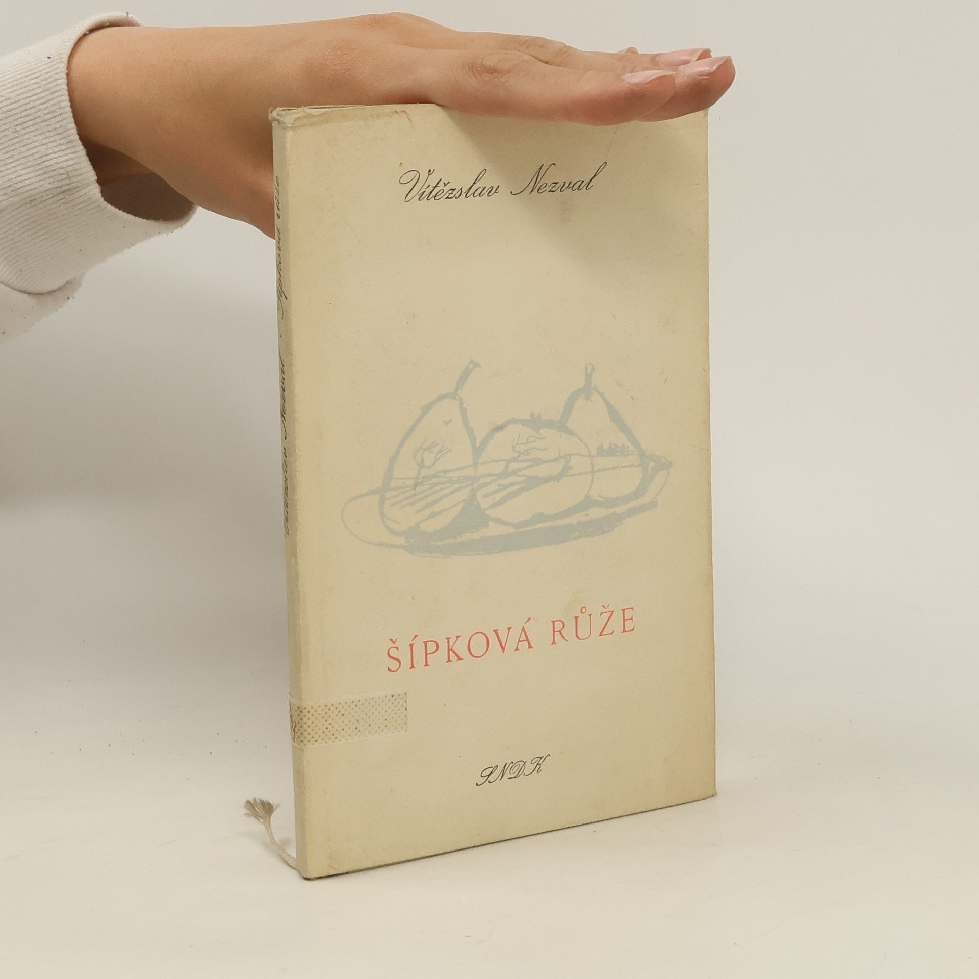 Vítězslav Nezval Šípková růže