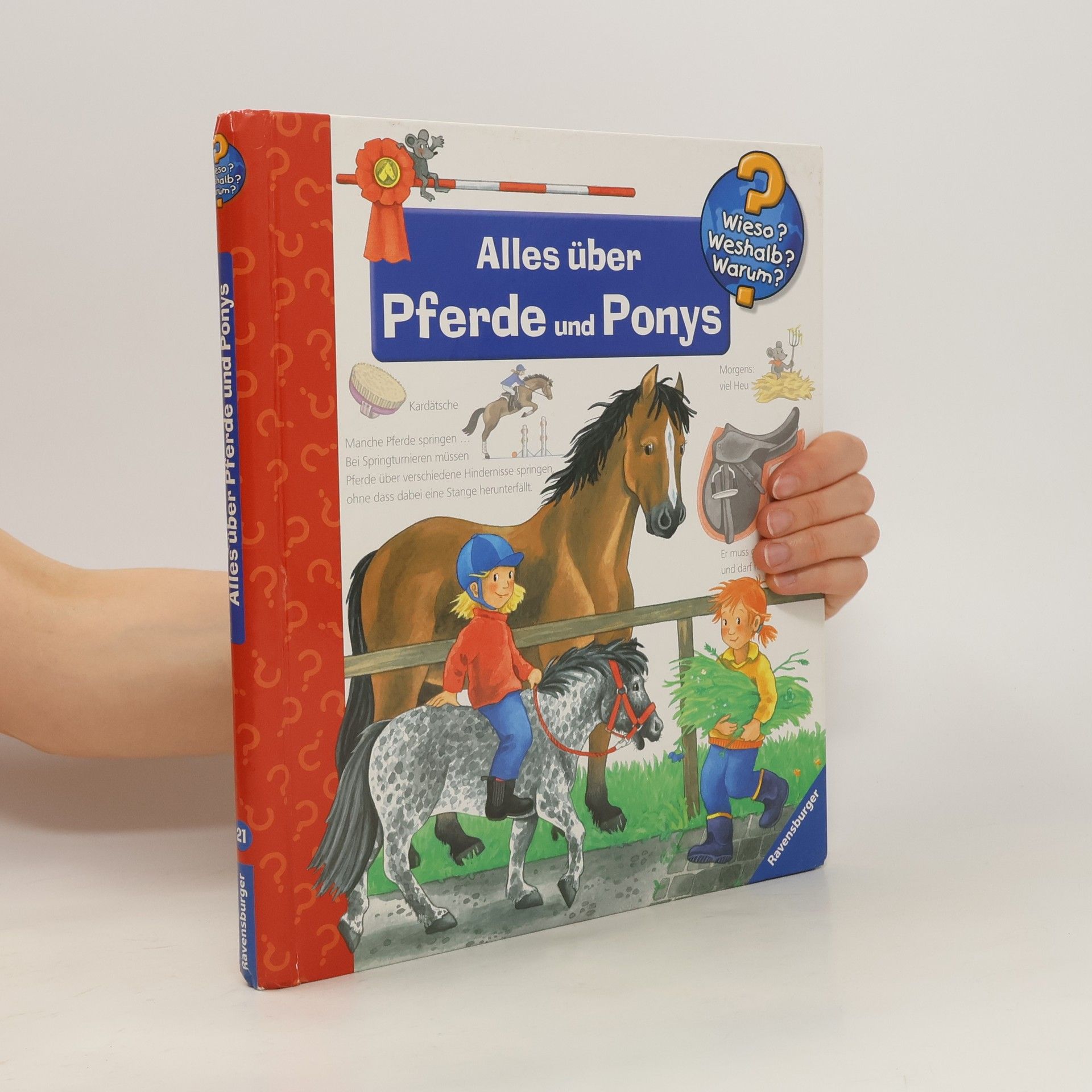 Andrea Erne Alles über Pferde und Ponys