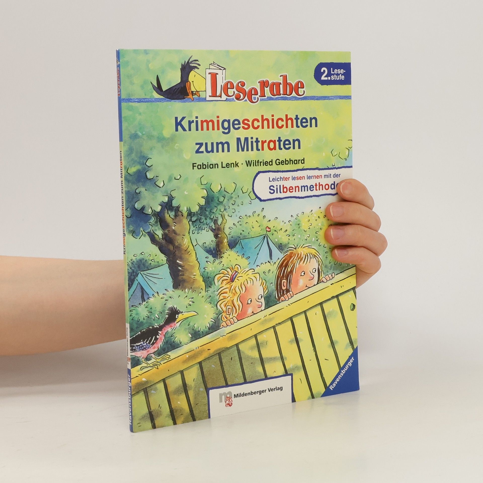 Fabian Lenk Krimigeschichten zum Mitraten