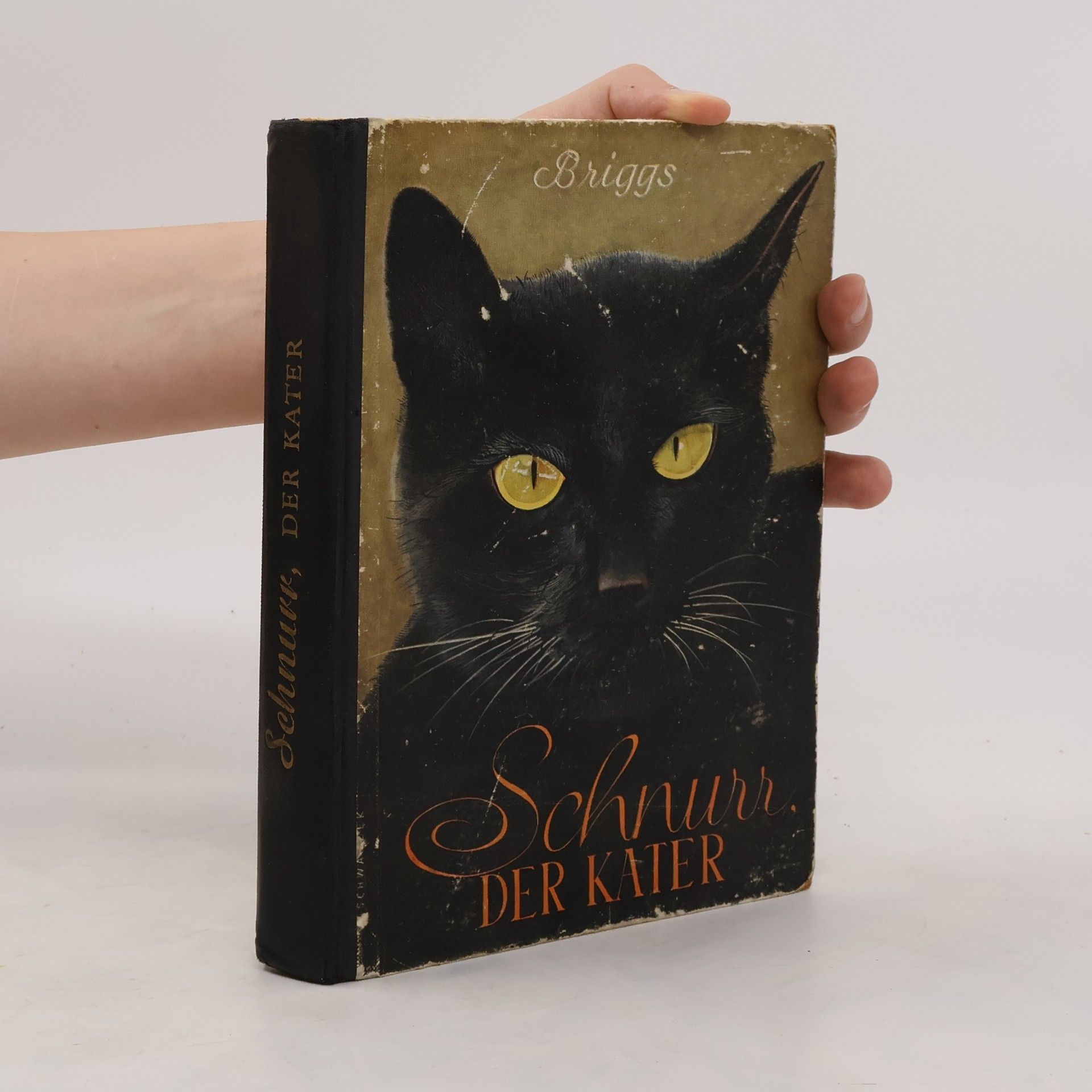 Phyllis Briggs Schnur. Der Kater