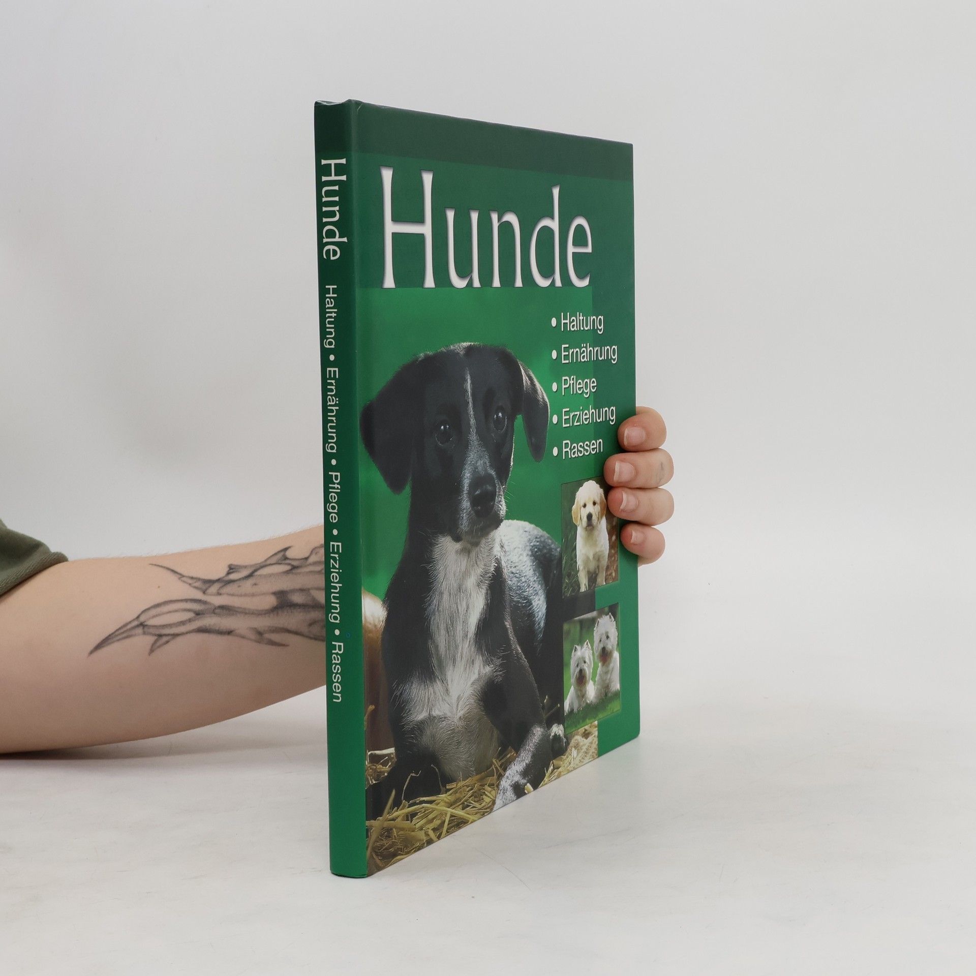 Collectif d'auteurs Hunde