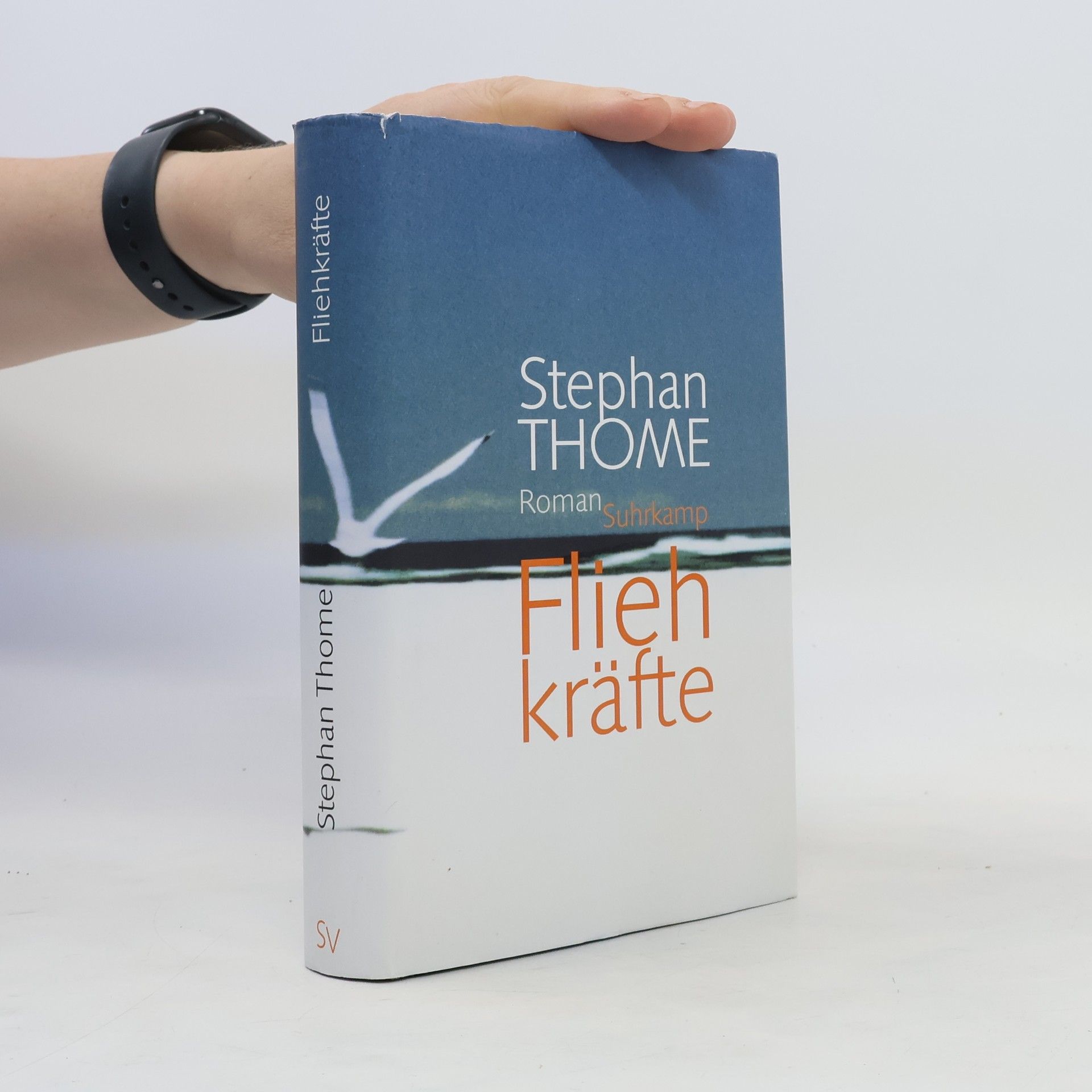 Stephan Thome Fliehkräfte
