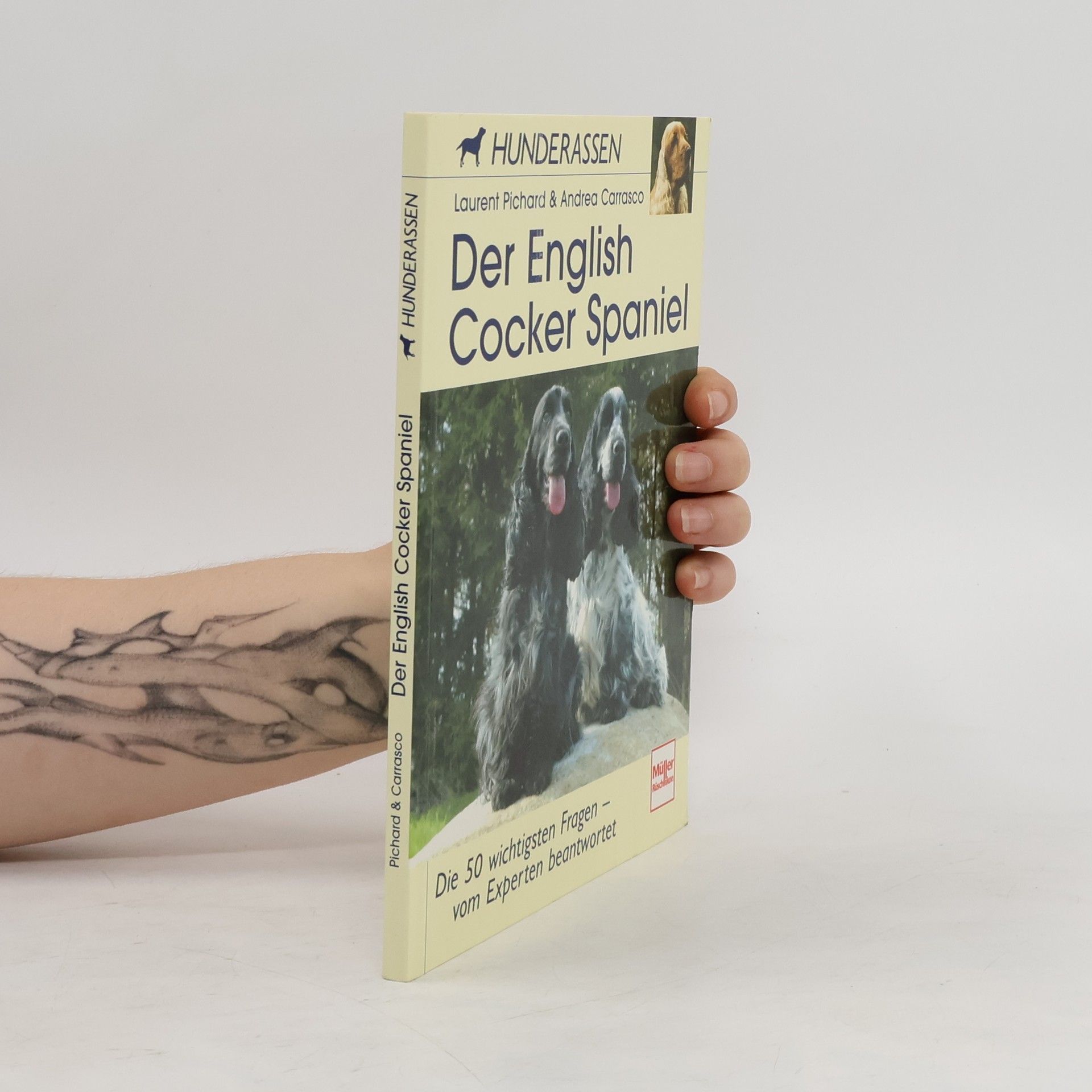 Laurent Pichard Der English Cocker Spaniel