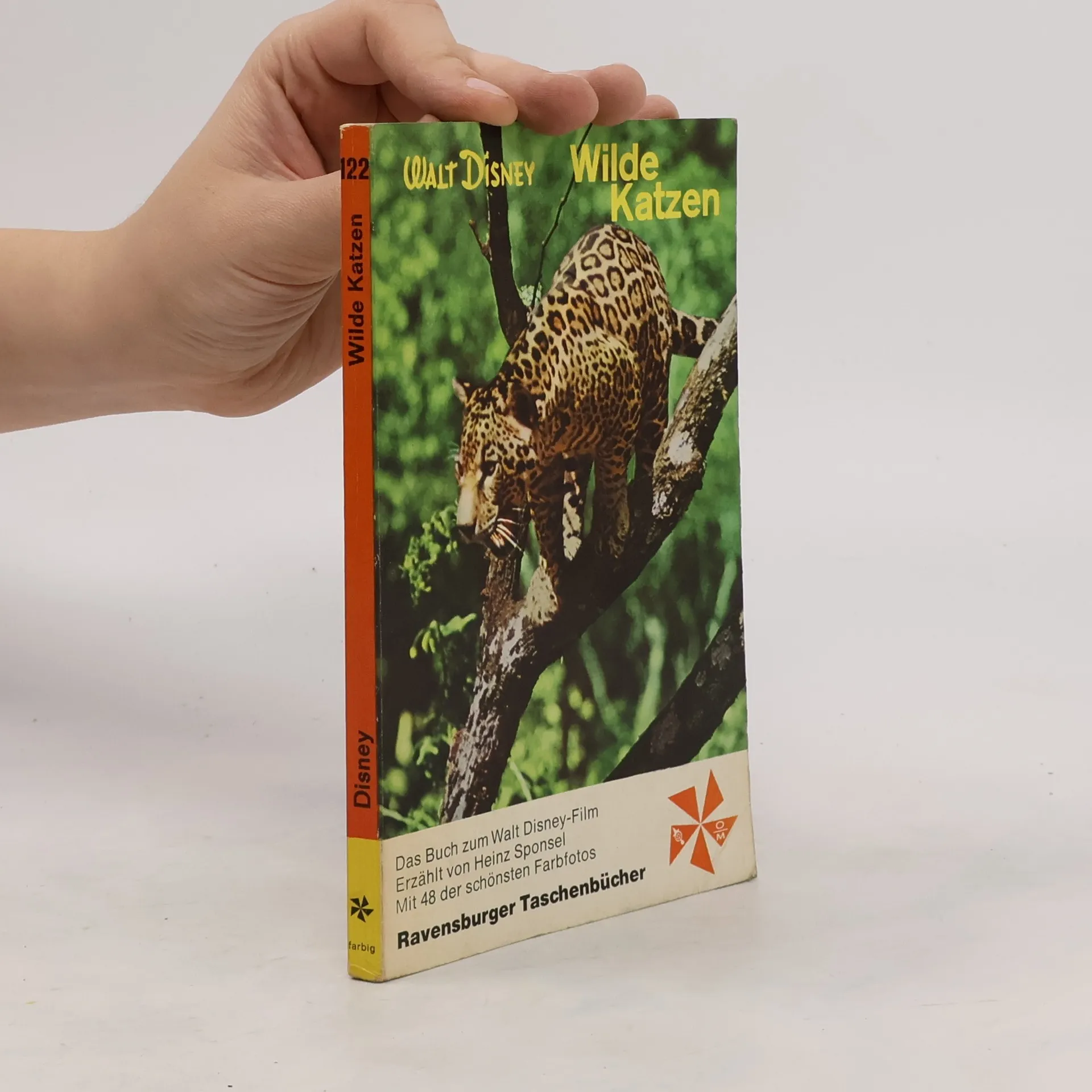Wilde Katzen | Book | Walt Disney | DE