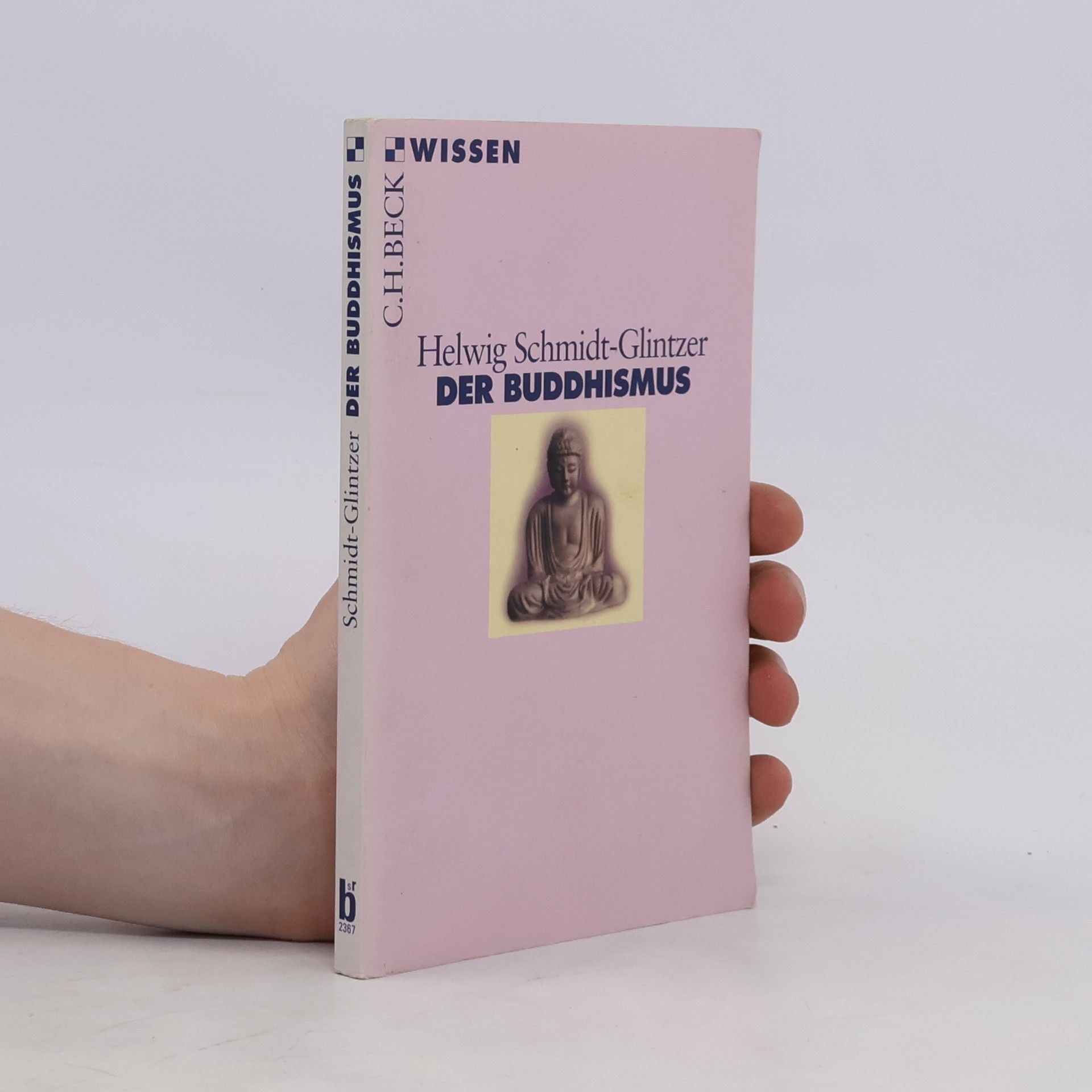 Helwig Schmidt-Glintzer Der Buddhismus