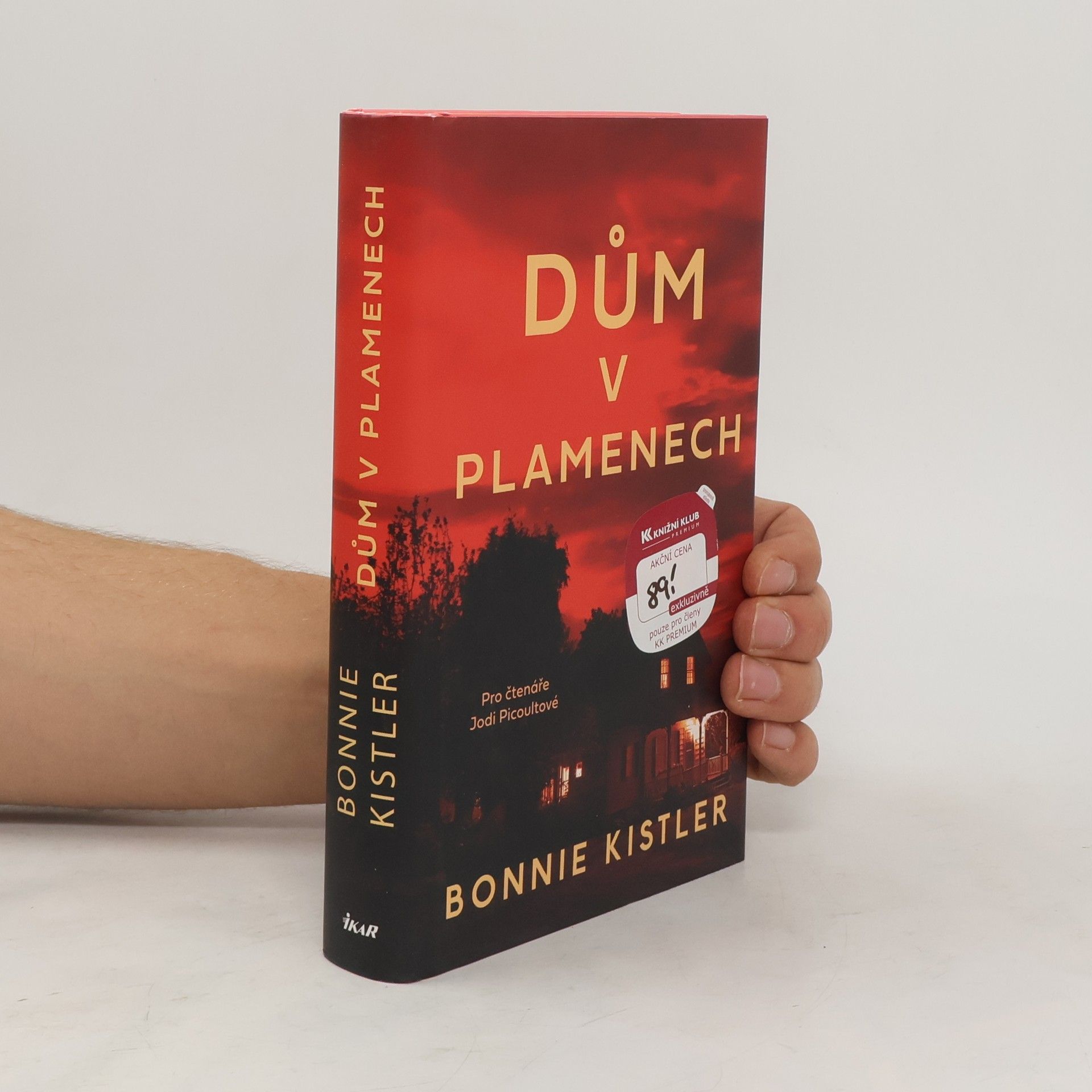 Bonnie Kistler Dům v plamenech