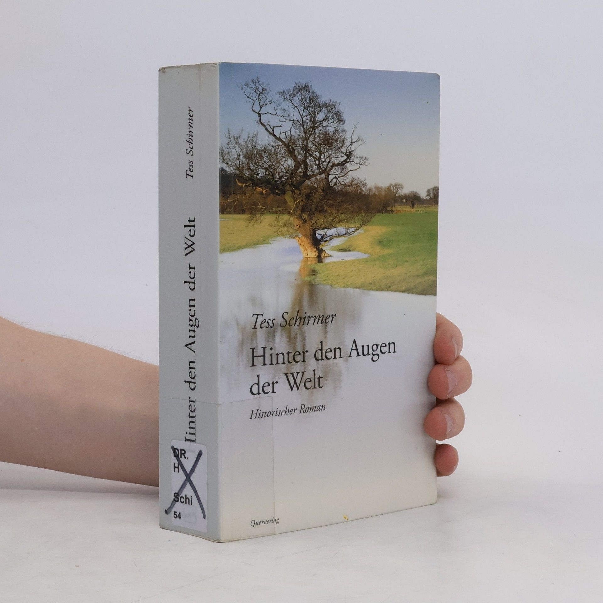 Tess Schirmer Hinter den Augen der Welt