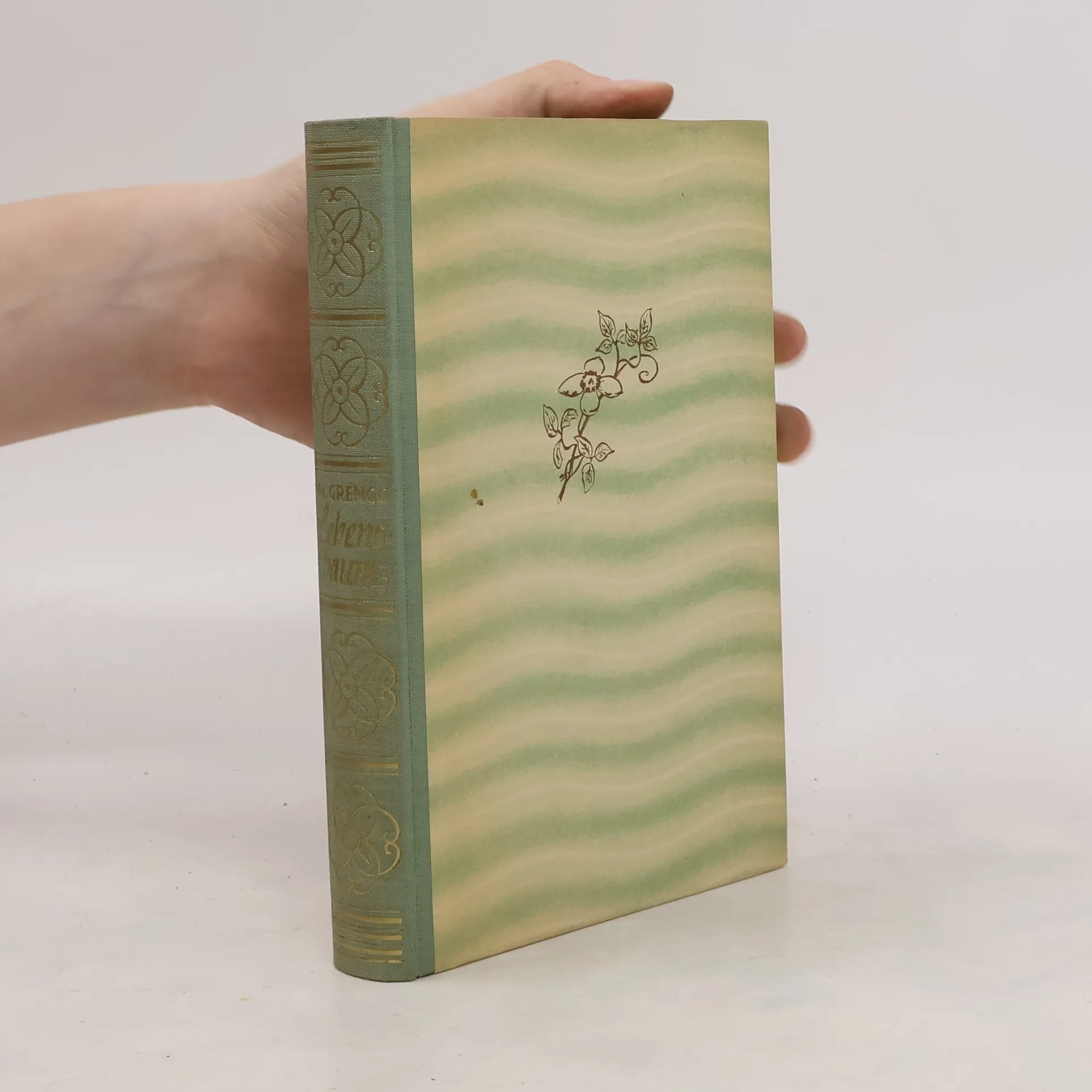 Der mit dem Eugenio zog | Book | Hardcover | M. Grengg | DE