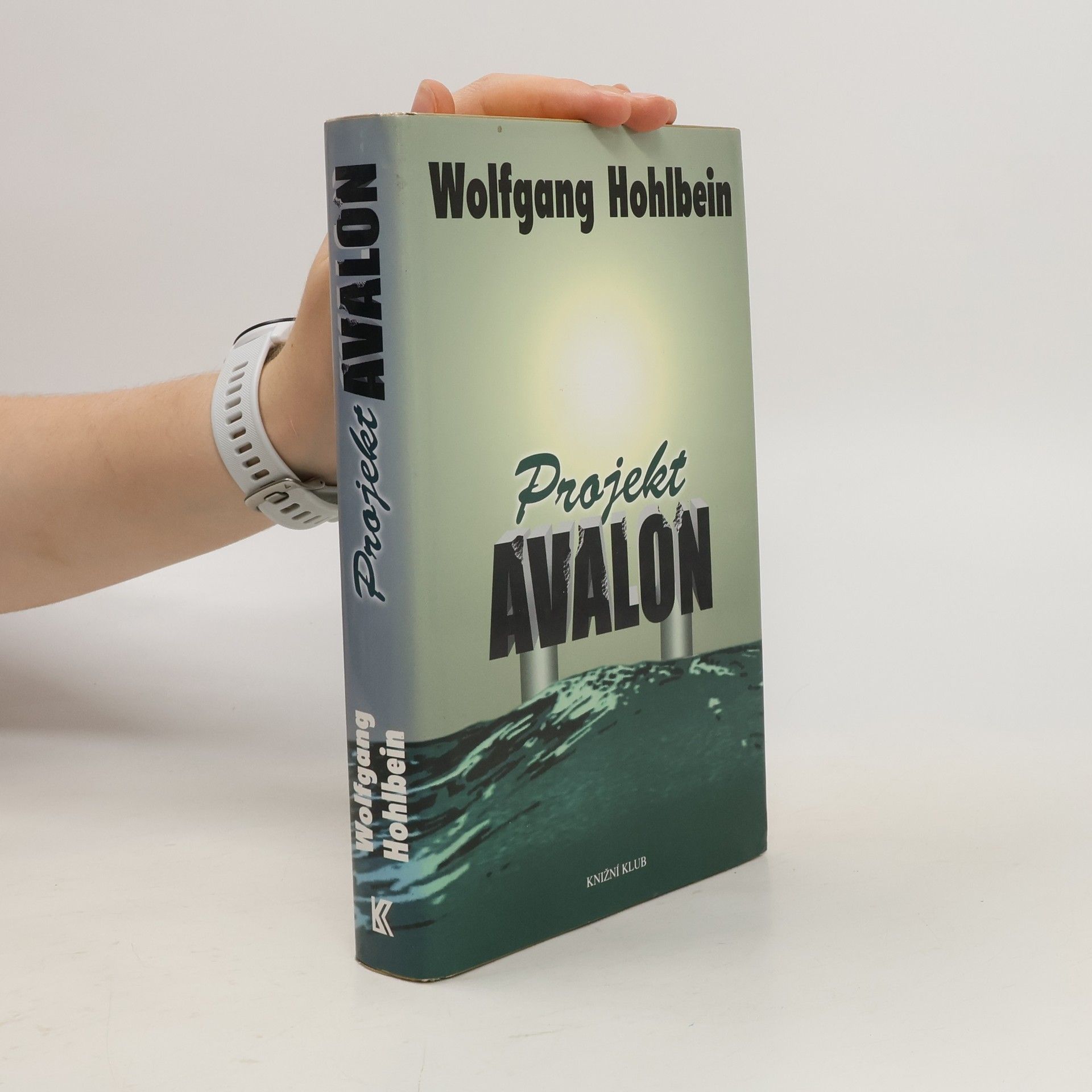 Wolfgang Hohlbein Projekt Avalon