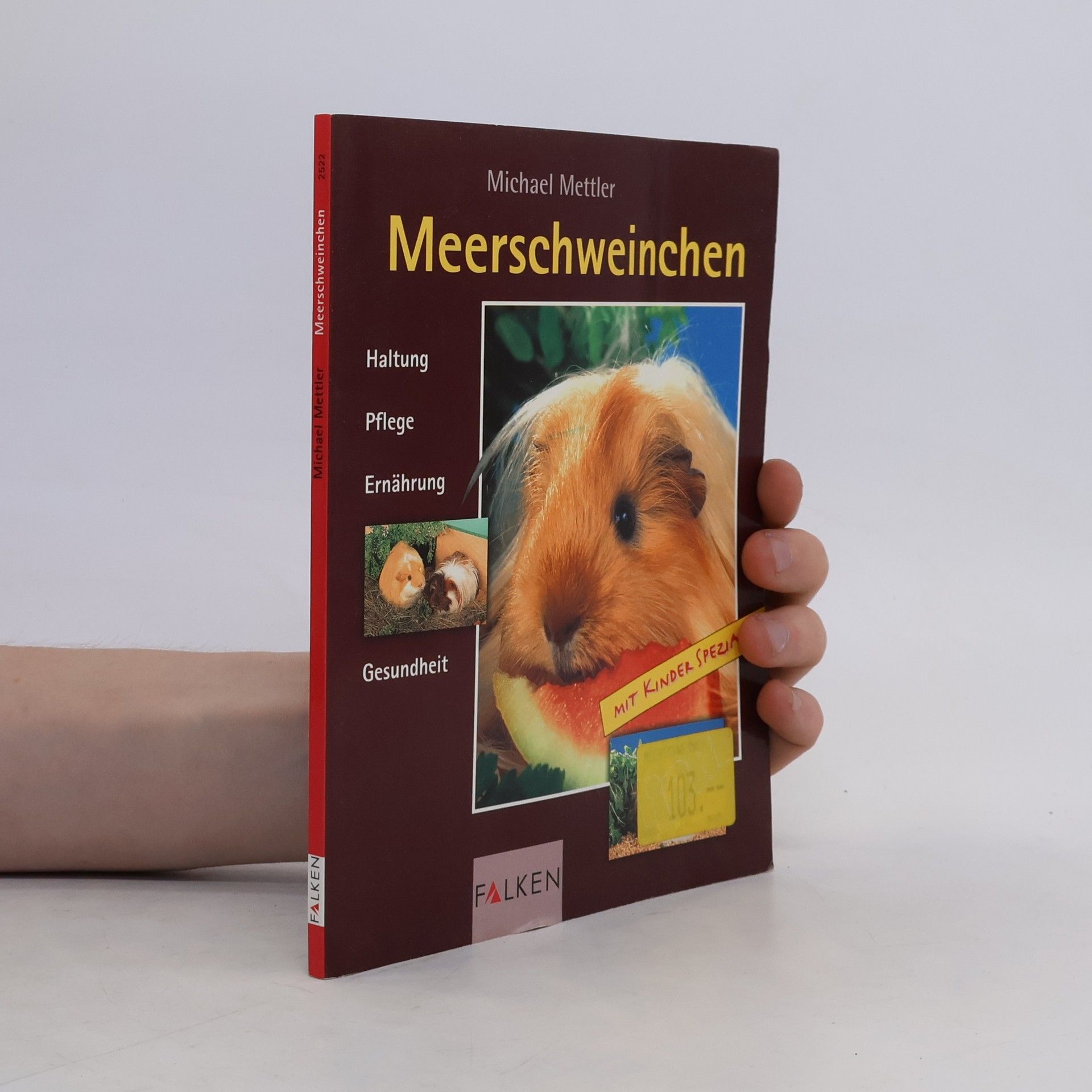 Michael Mettler Meerschweinchen