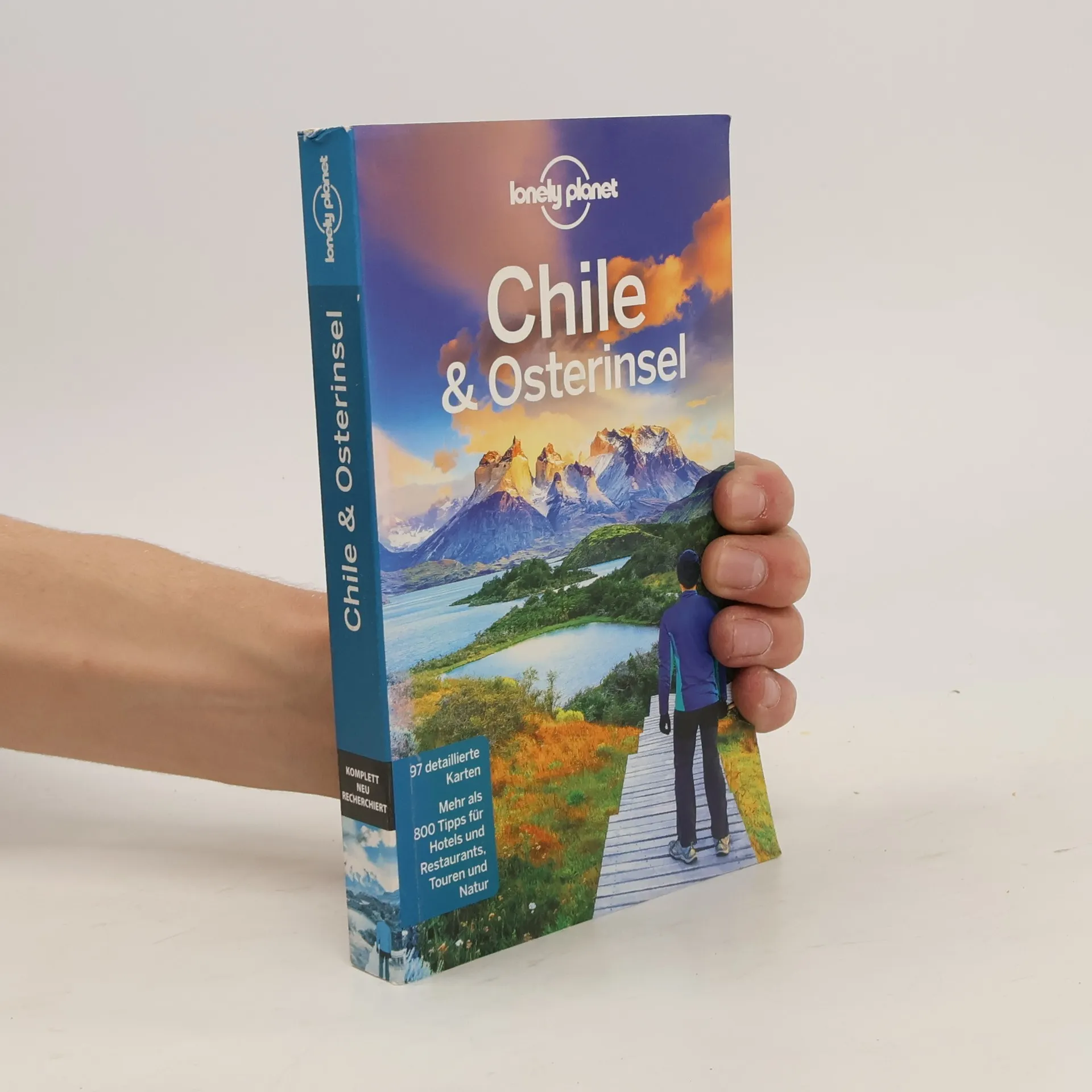 Chile & Osterinsel | Livre | Carolyn McCarthy | DE