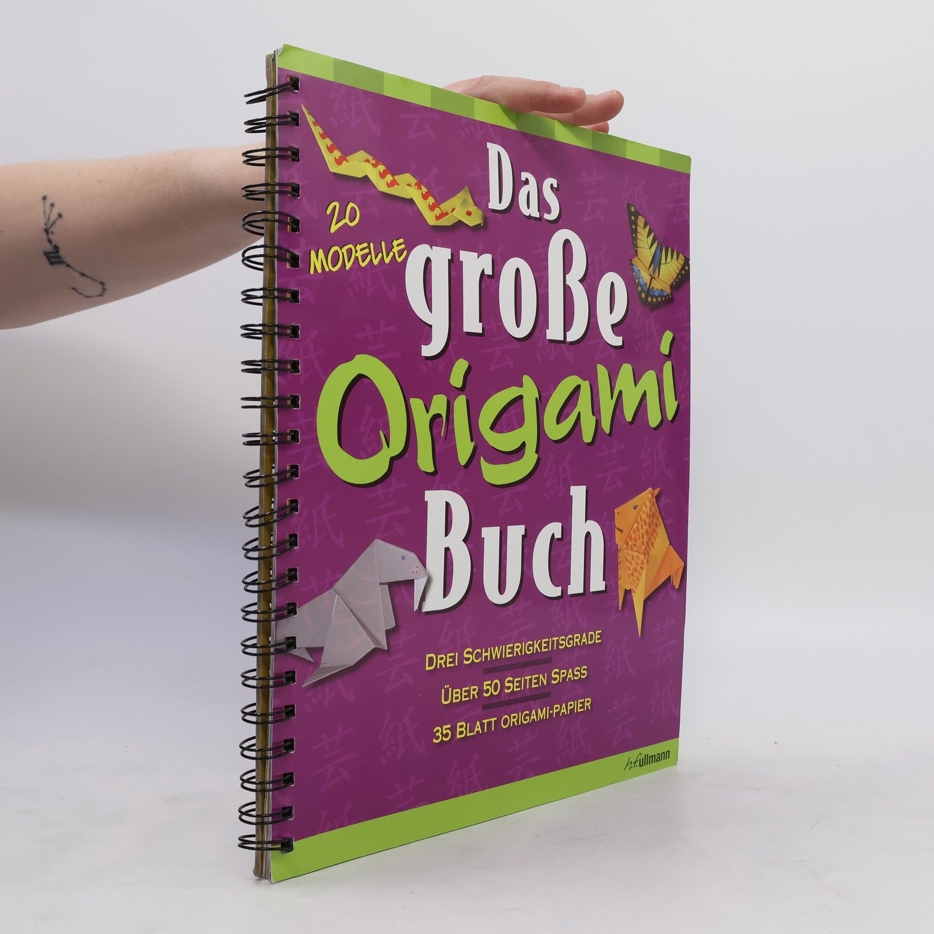 Collective Das große Origami-Buch